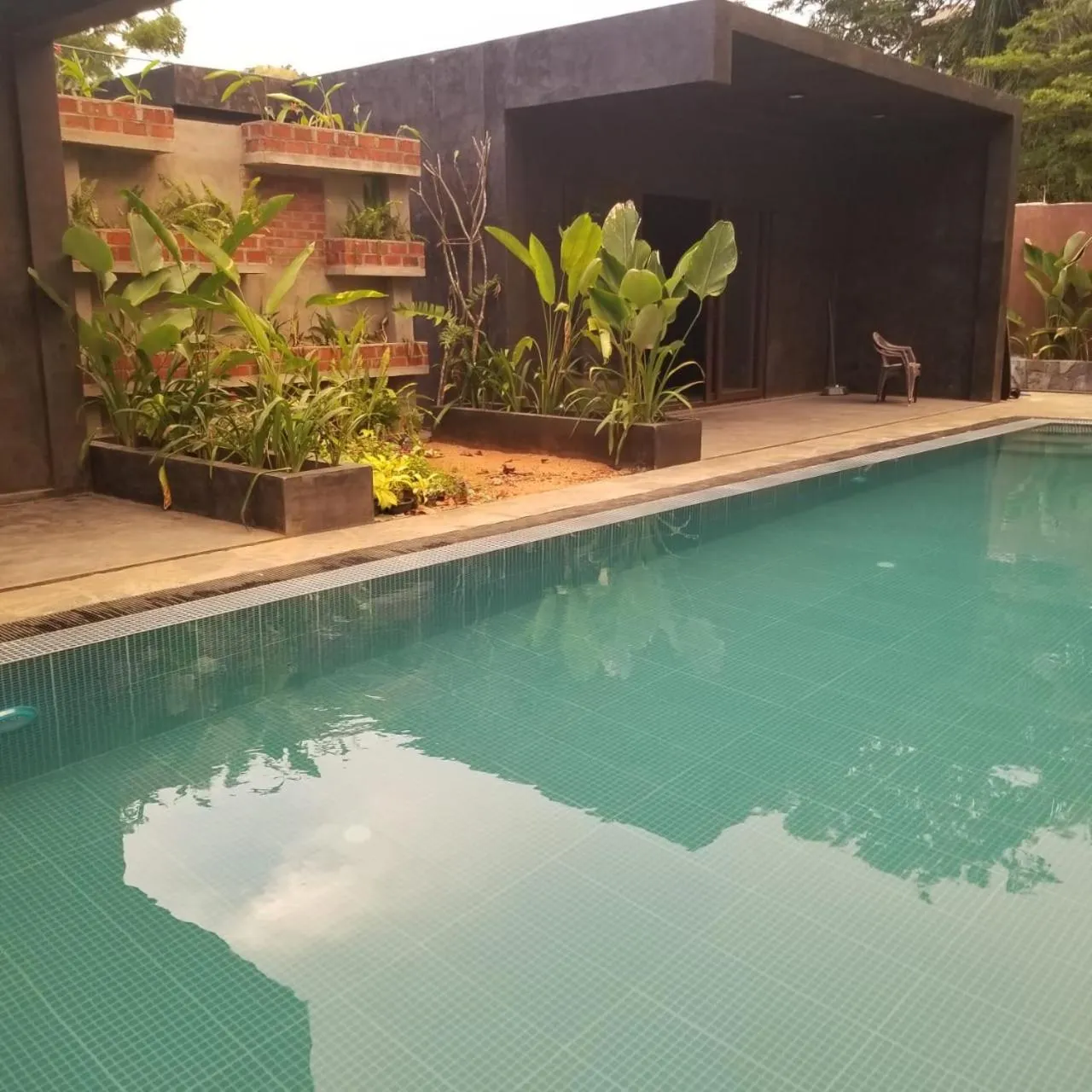 Swimming pool in il Frangipane