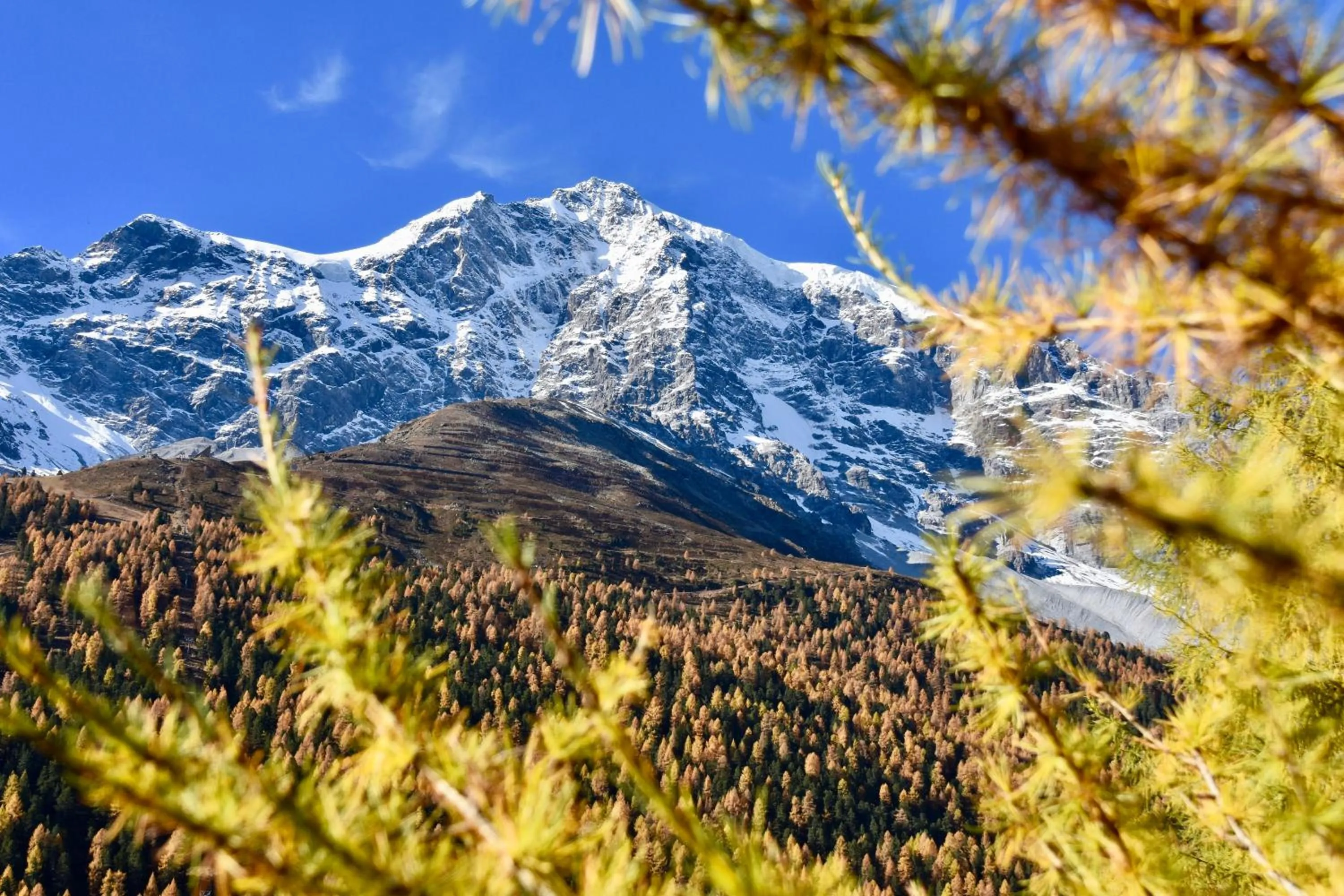 Minigolf in Bed & Breakfast Hotel Nives