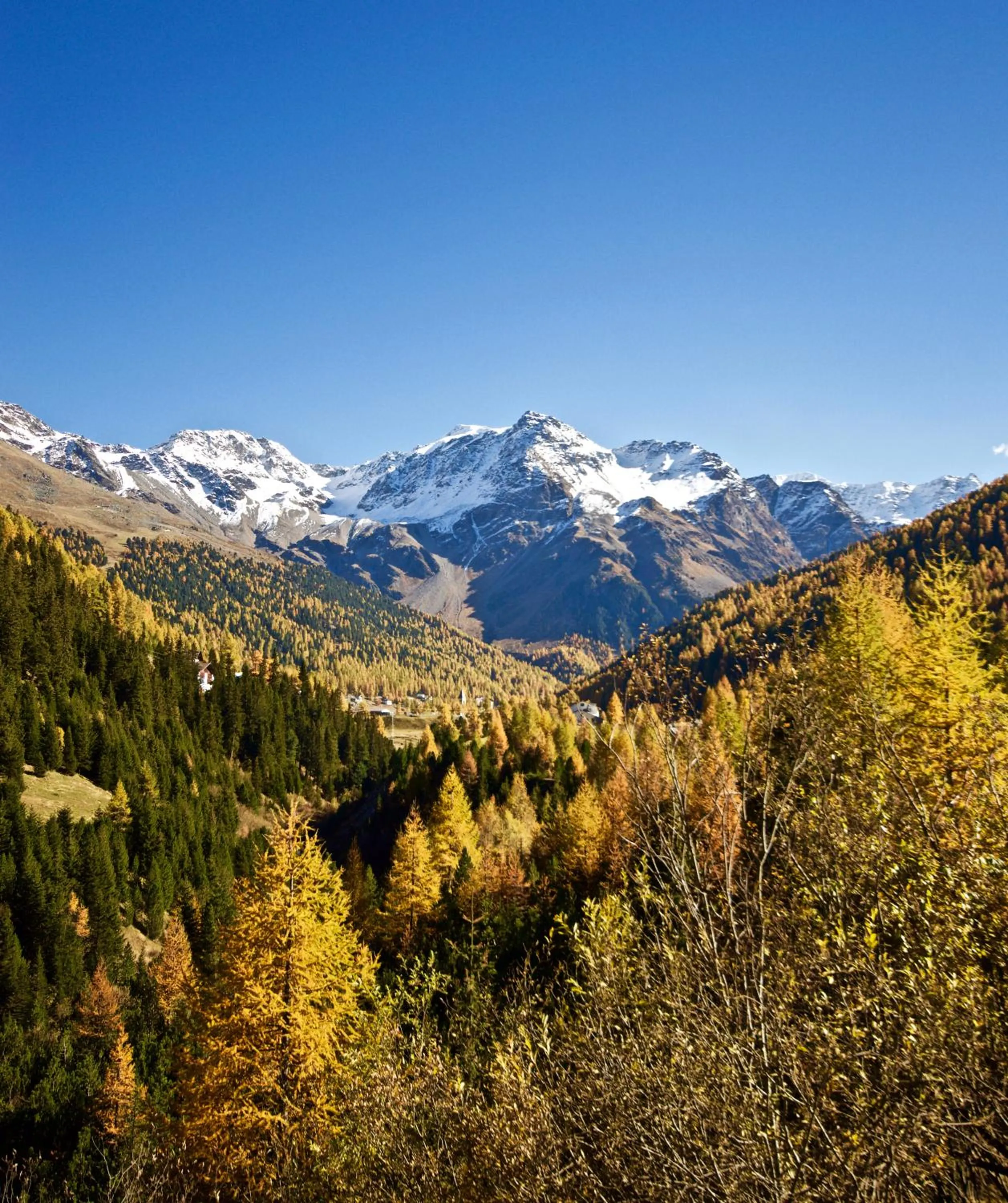 Other in Bed & Breakfast Hotel Nives