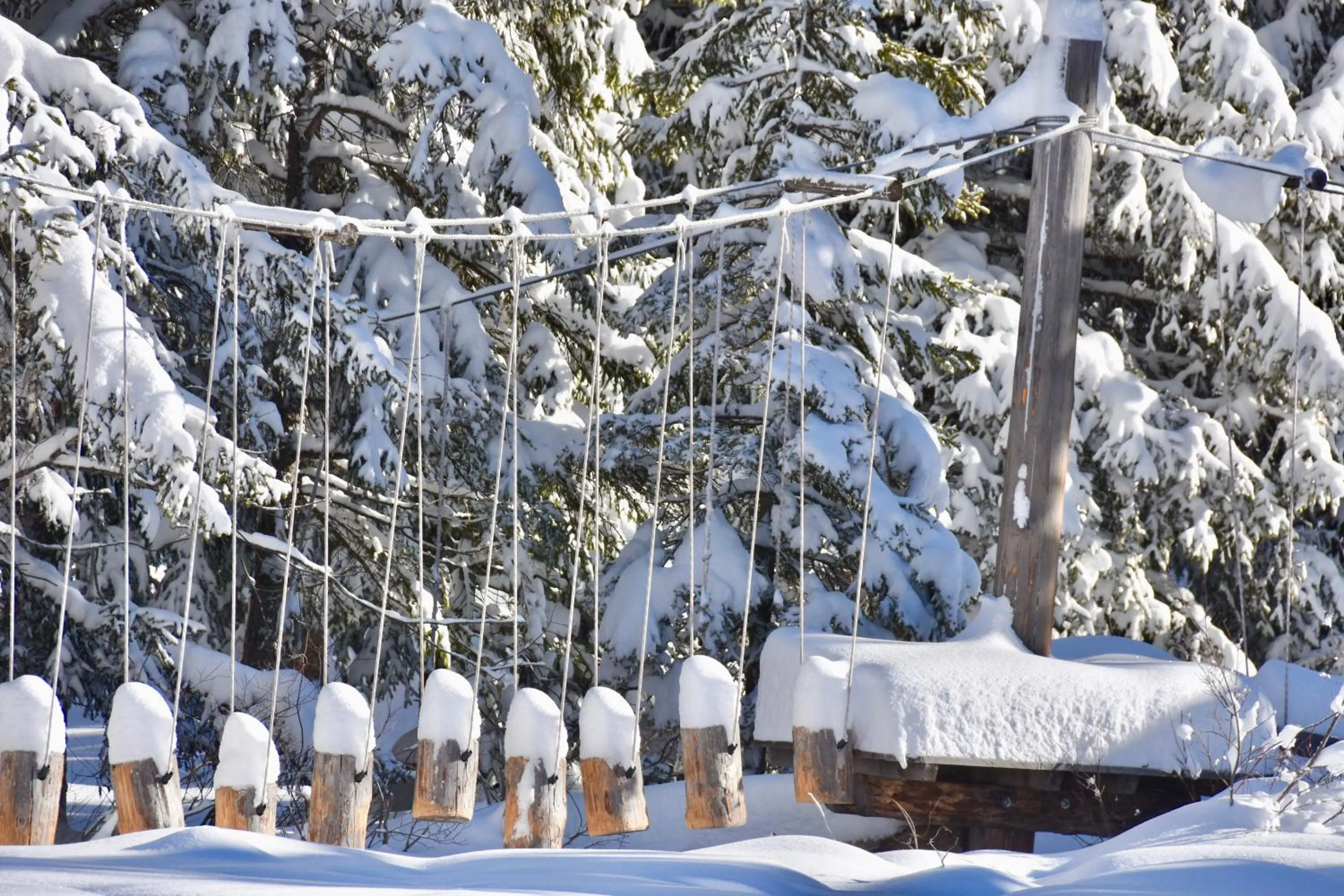 Ski School in Bed & Breakfast Hotel Nives