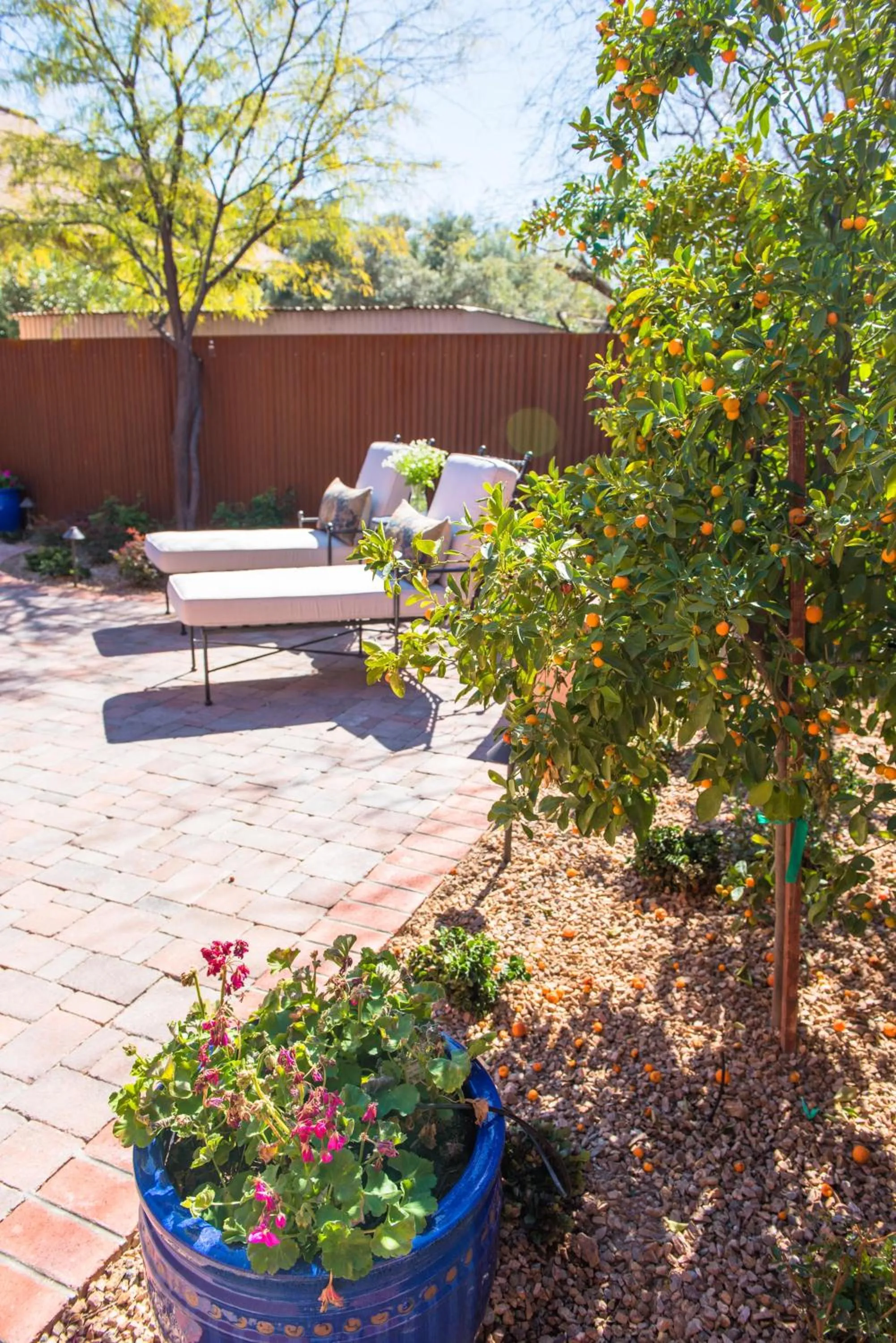 Patio in Armory Park Inn