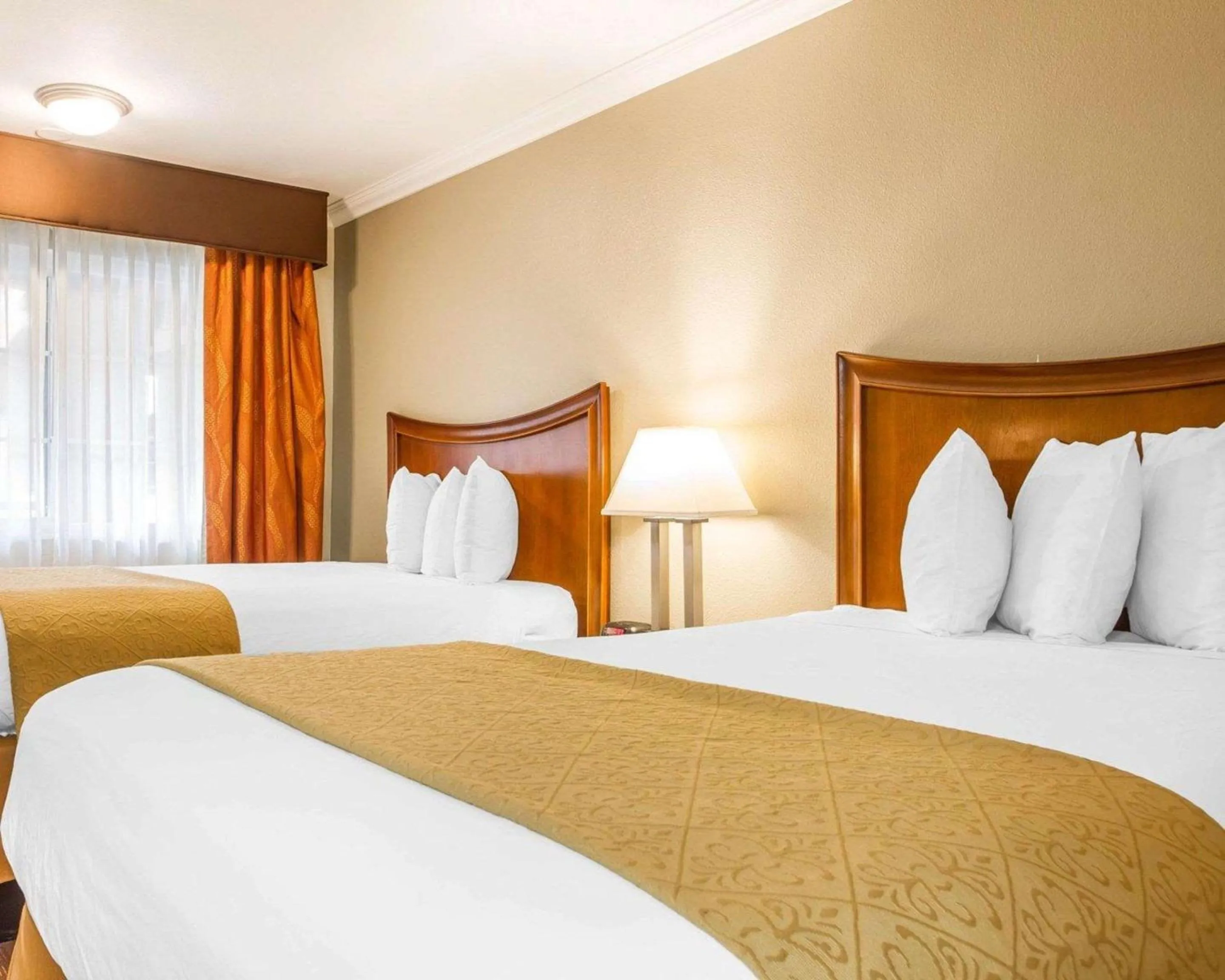 Bedroom, Bed in Quality Inn Sacramento Convention Center