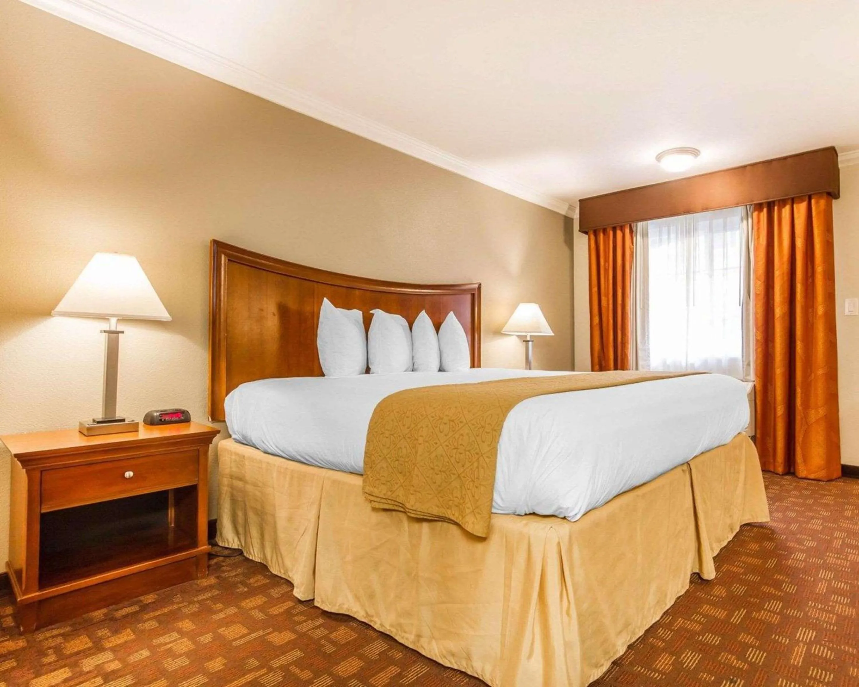 Bedroom, Bed in Quality Inn Sacramento Convention Center