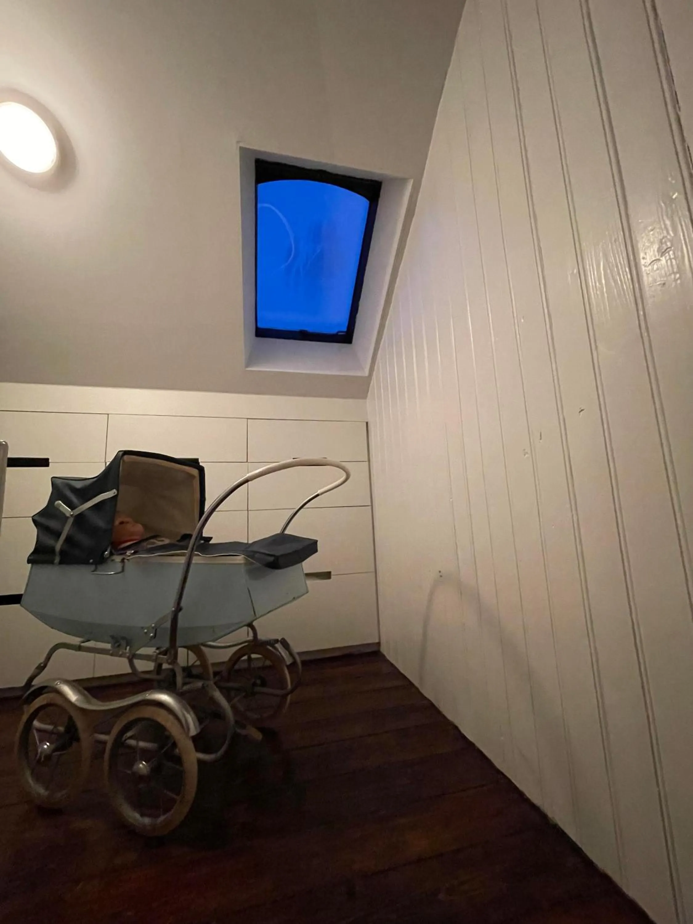 TV and multimedia in Hoepfner and Tulinius Historical Houses