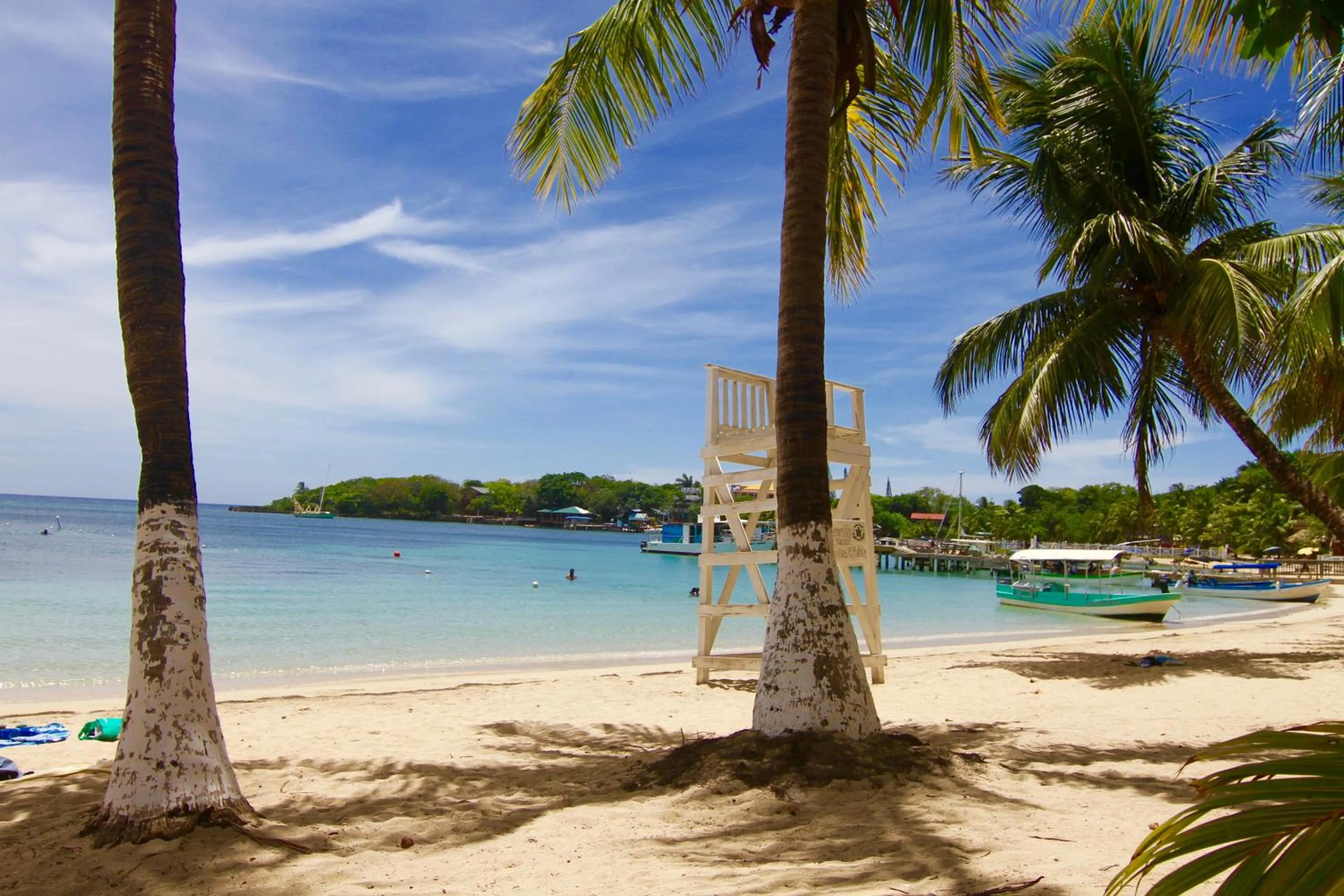 Sea view in mame trees