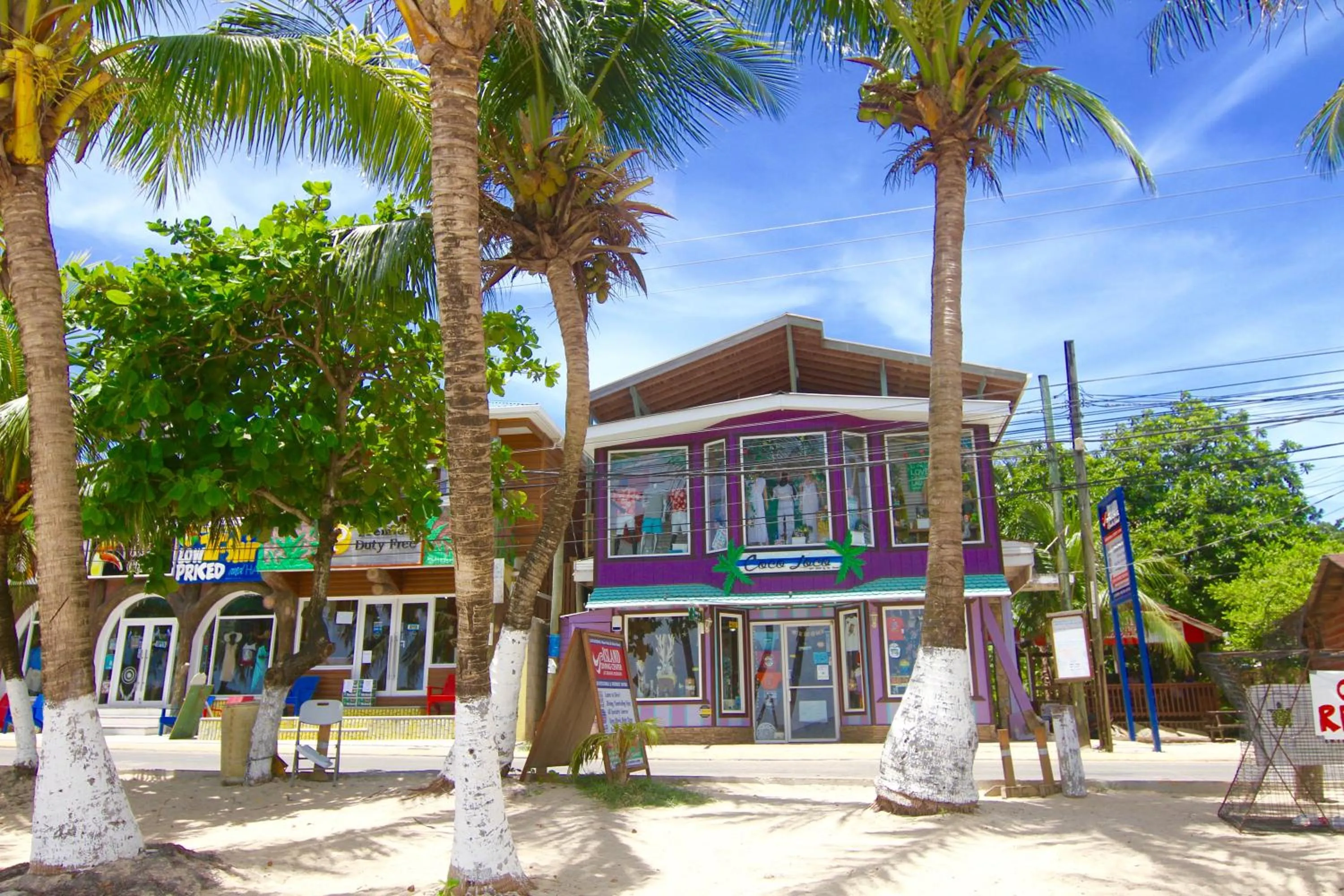 Facade/entrance in mame trees