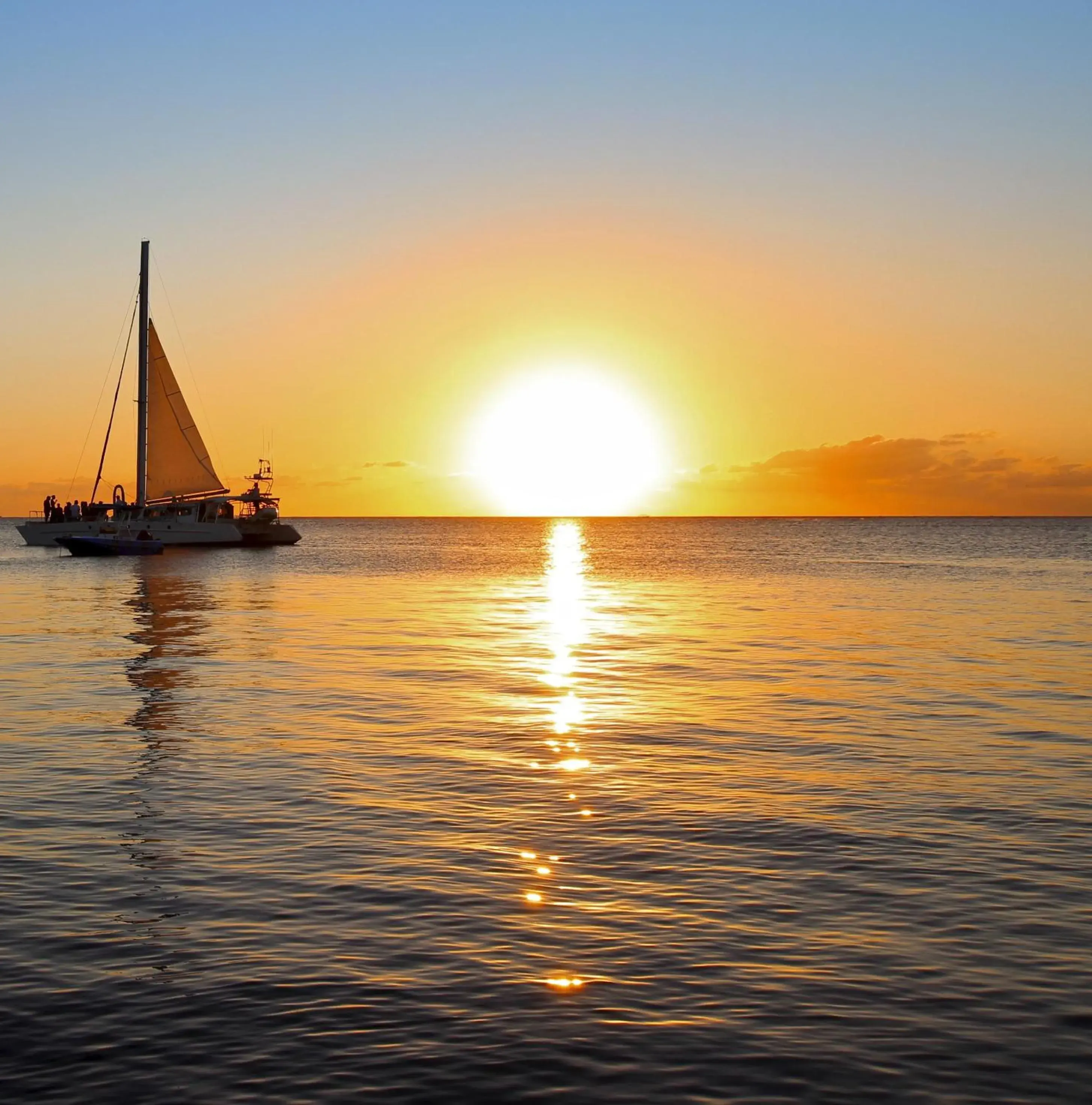 mame trees mame trees