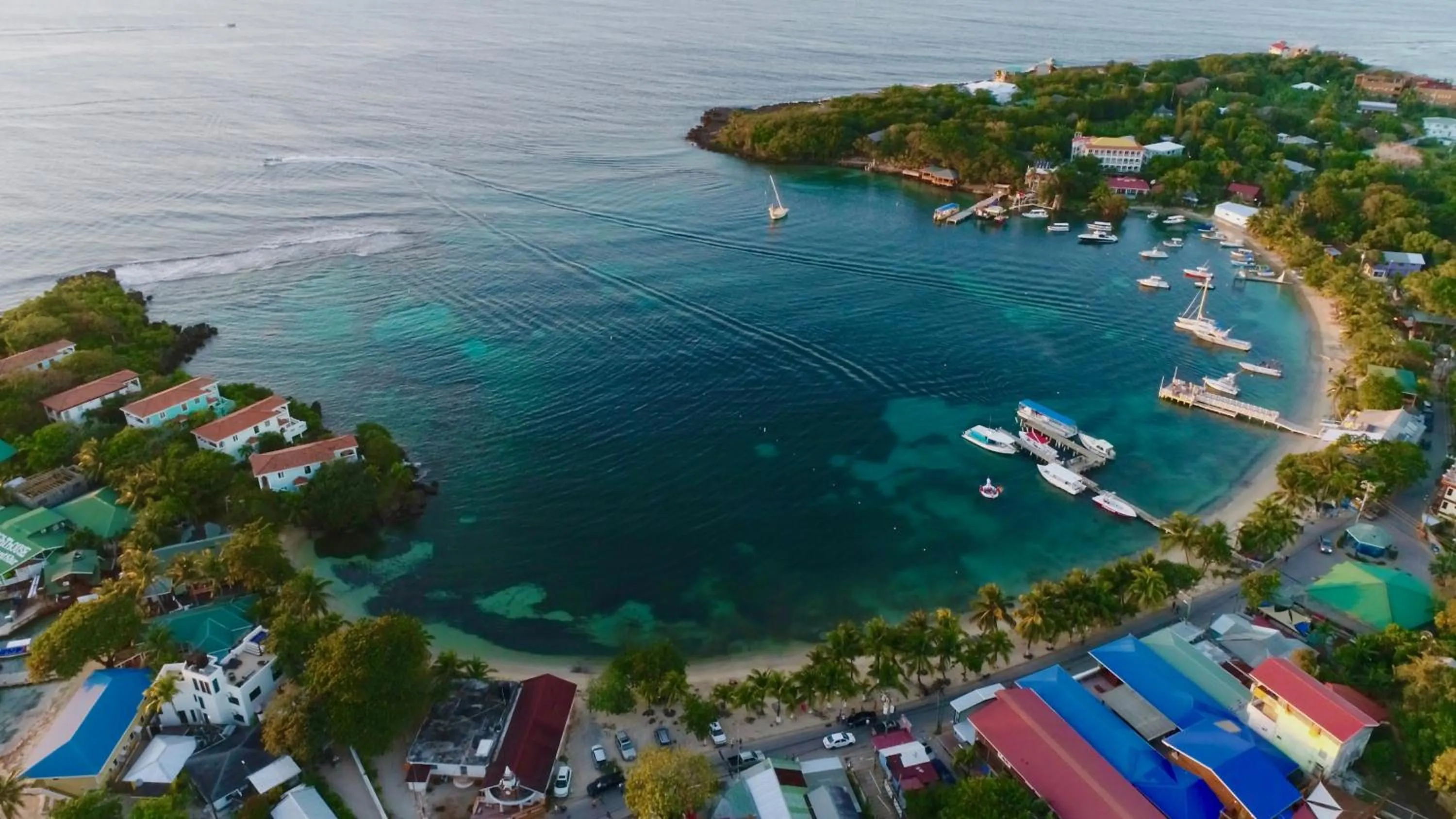 Natural landscape in mame trees