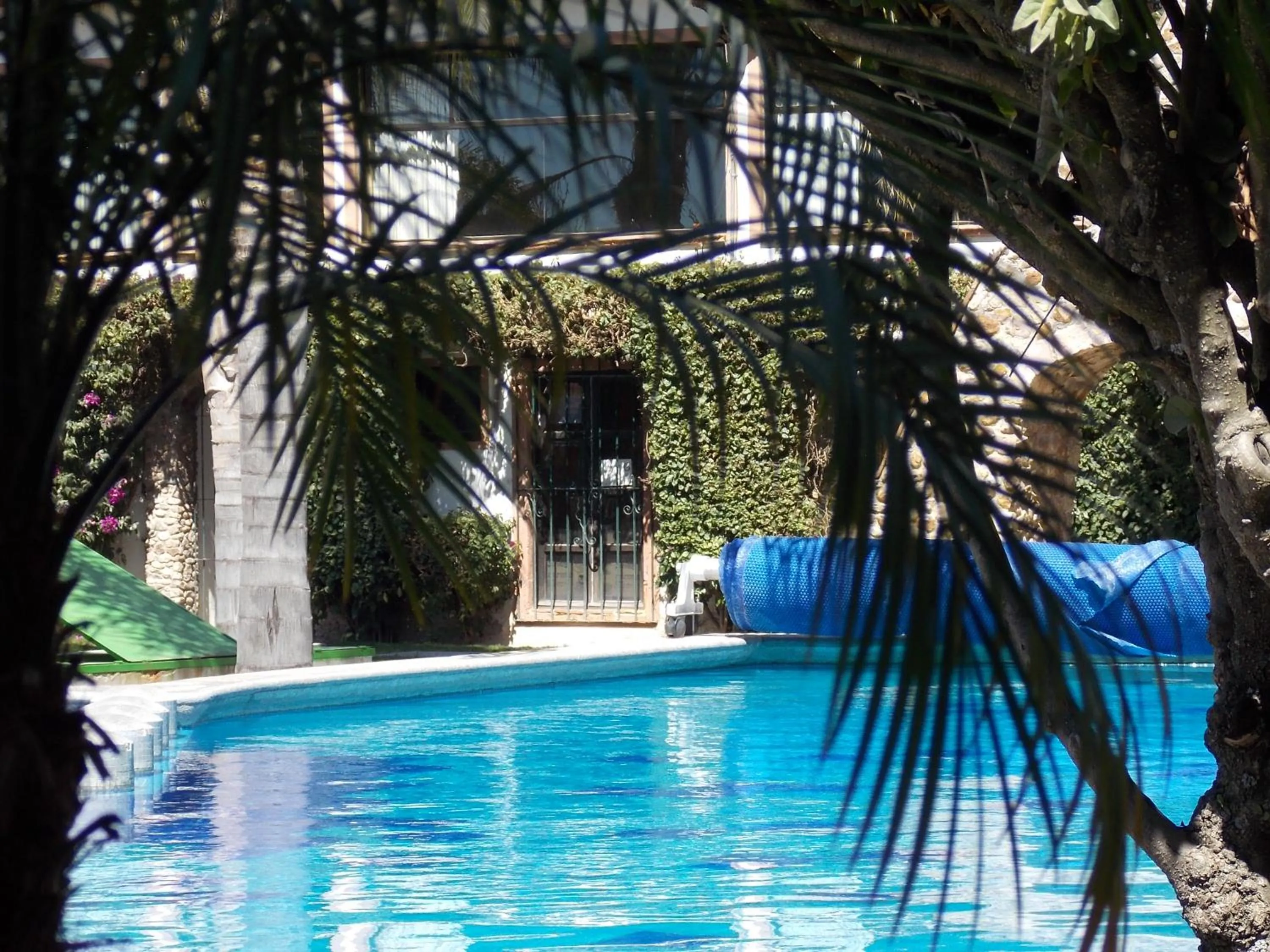 Garden view in Hotel La Mansión