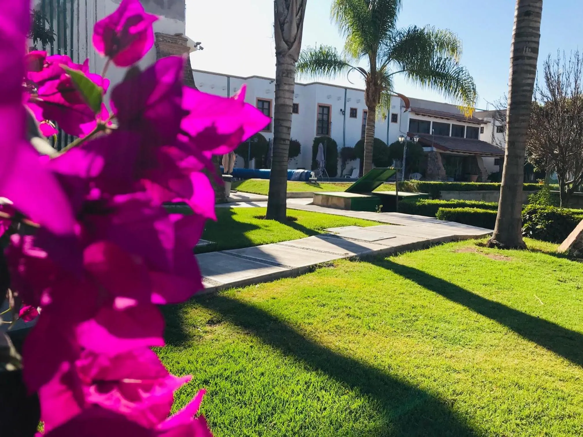 Garden in Hotel La Mansión