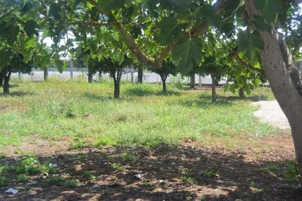 BeaStella Holiday Rooms