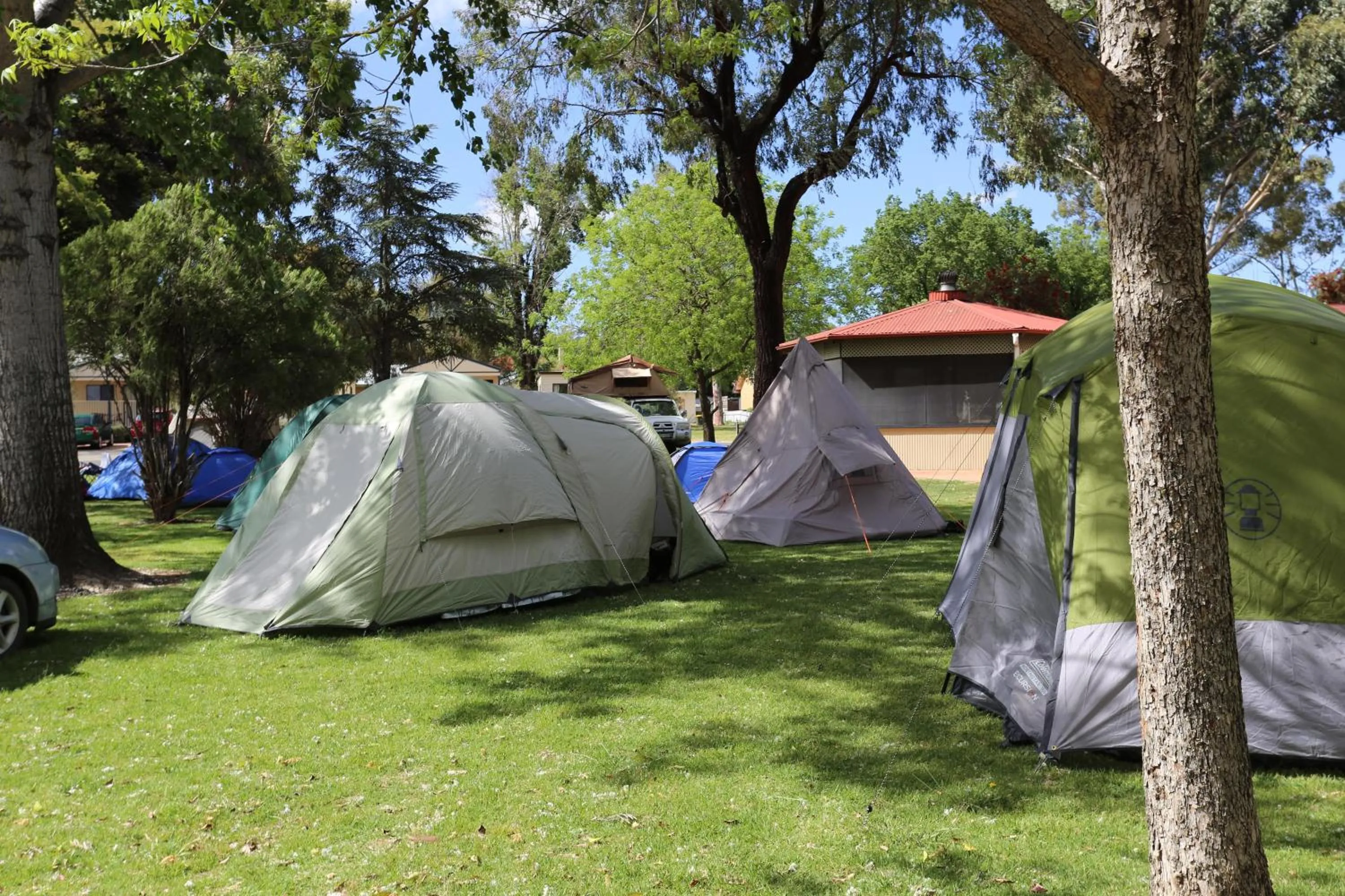 Natural landscape in Young Caravan and Tourist Park