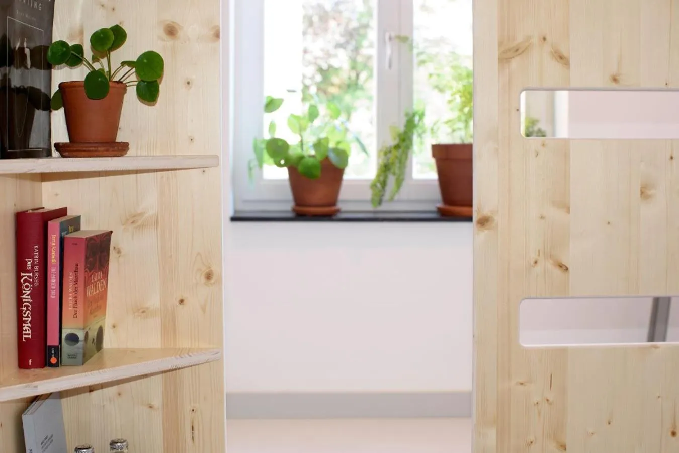 Library in The Green Elephant Hostel & Spa