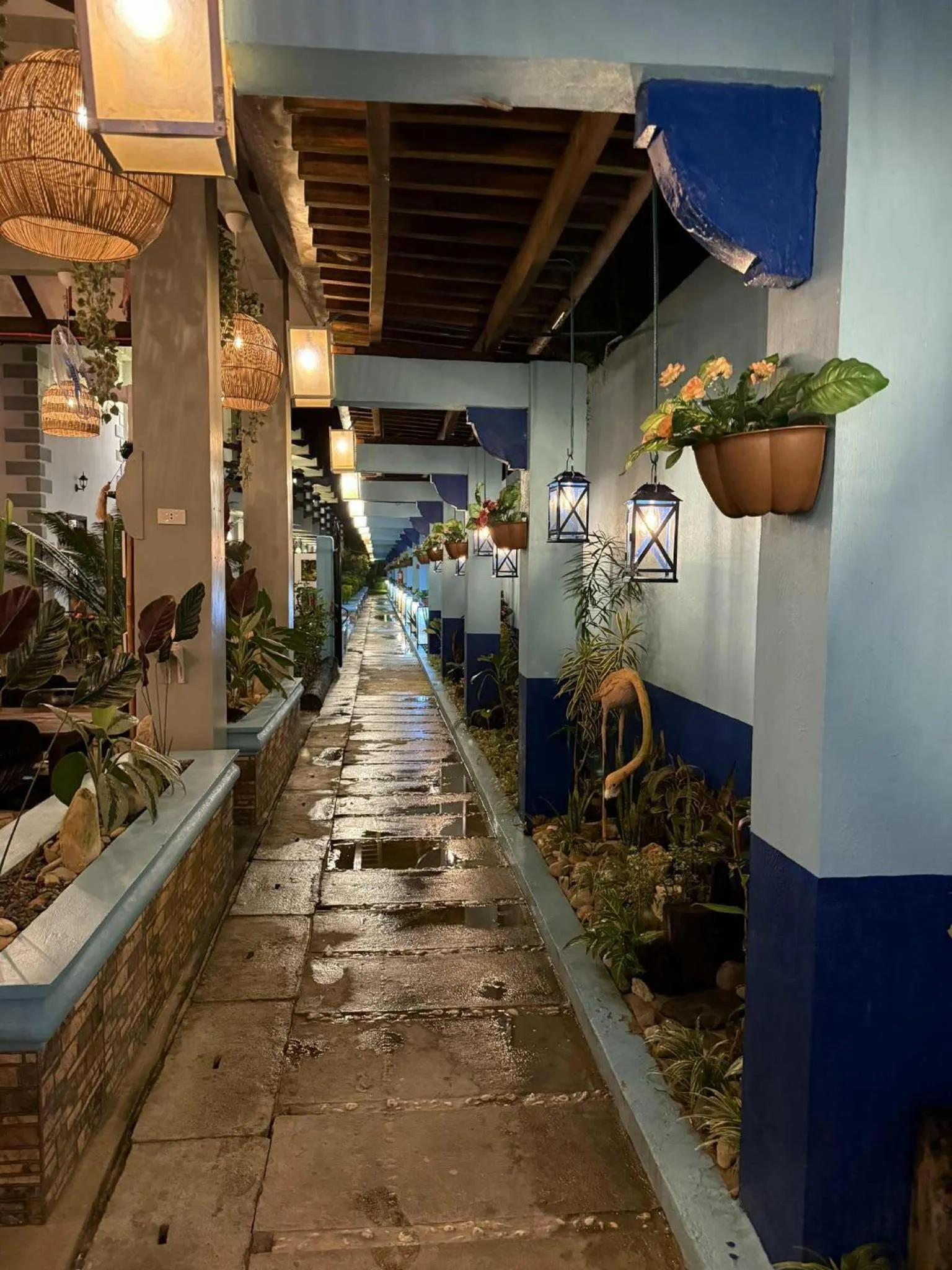 View (from property/room) in Ferellee Beach Front Inn