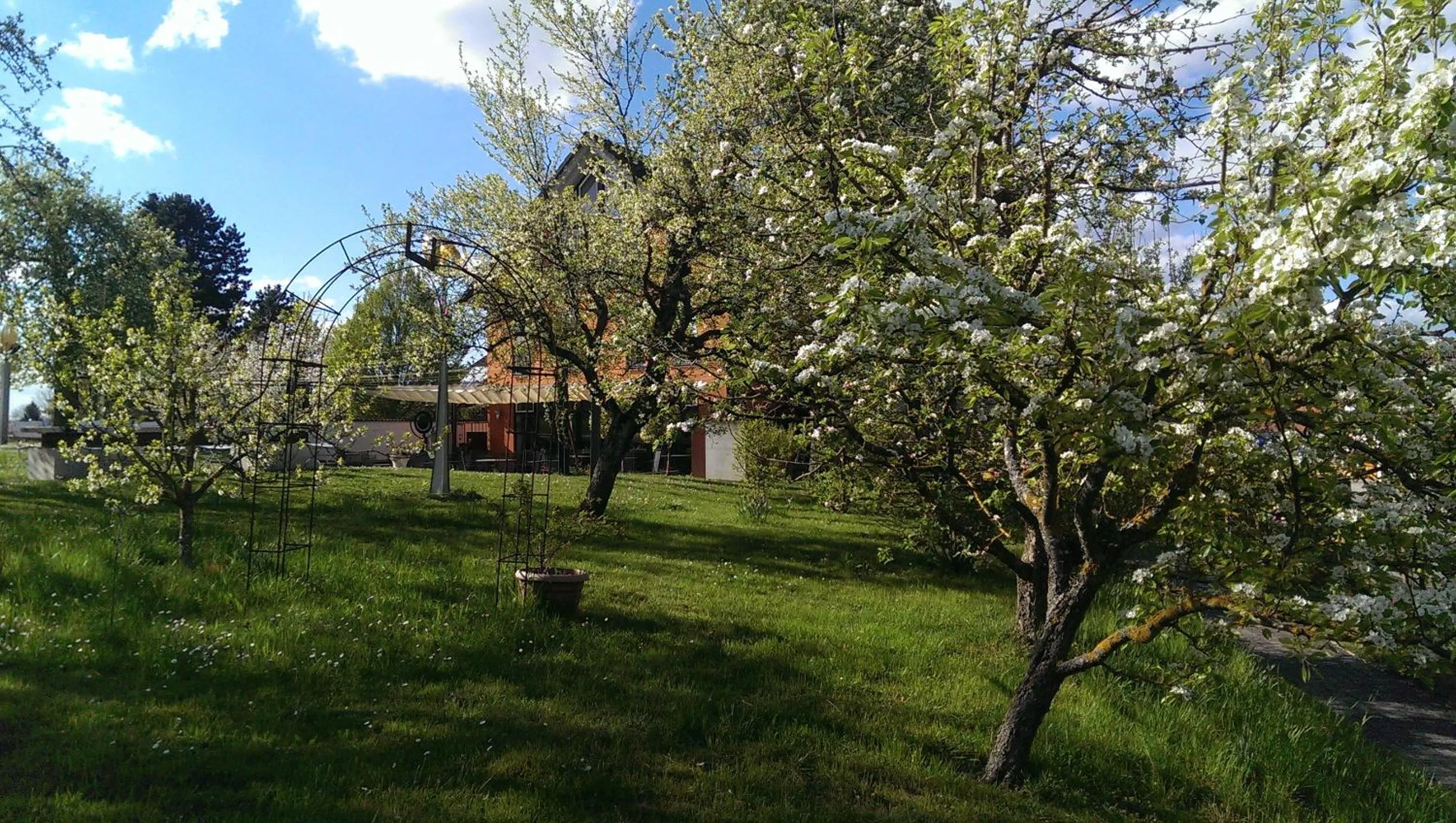 Garden in Hotel Zapa