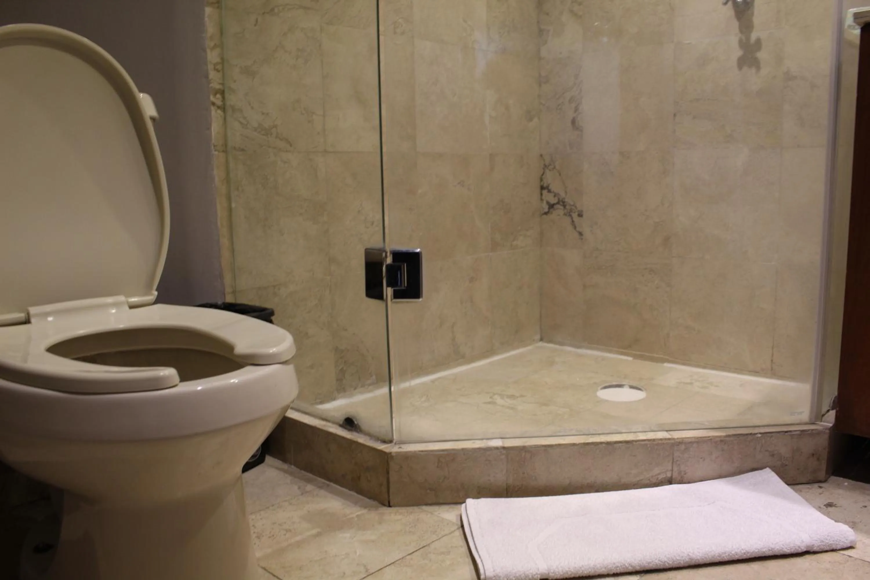 Shower in Residence L´ Heritage Hipólito Taine by BlueBay