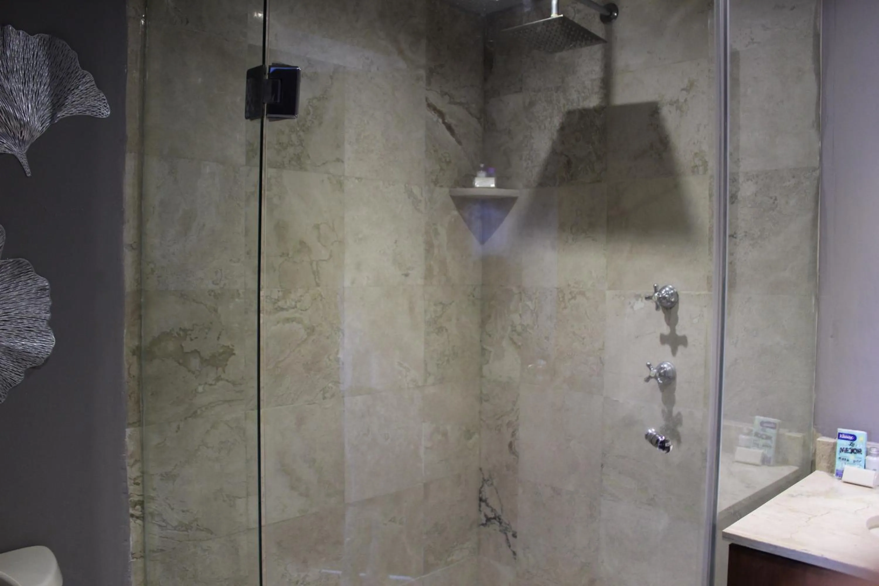 Shower in Residence L´ Heritage Hipólito Taine by BlueBay