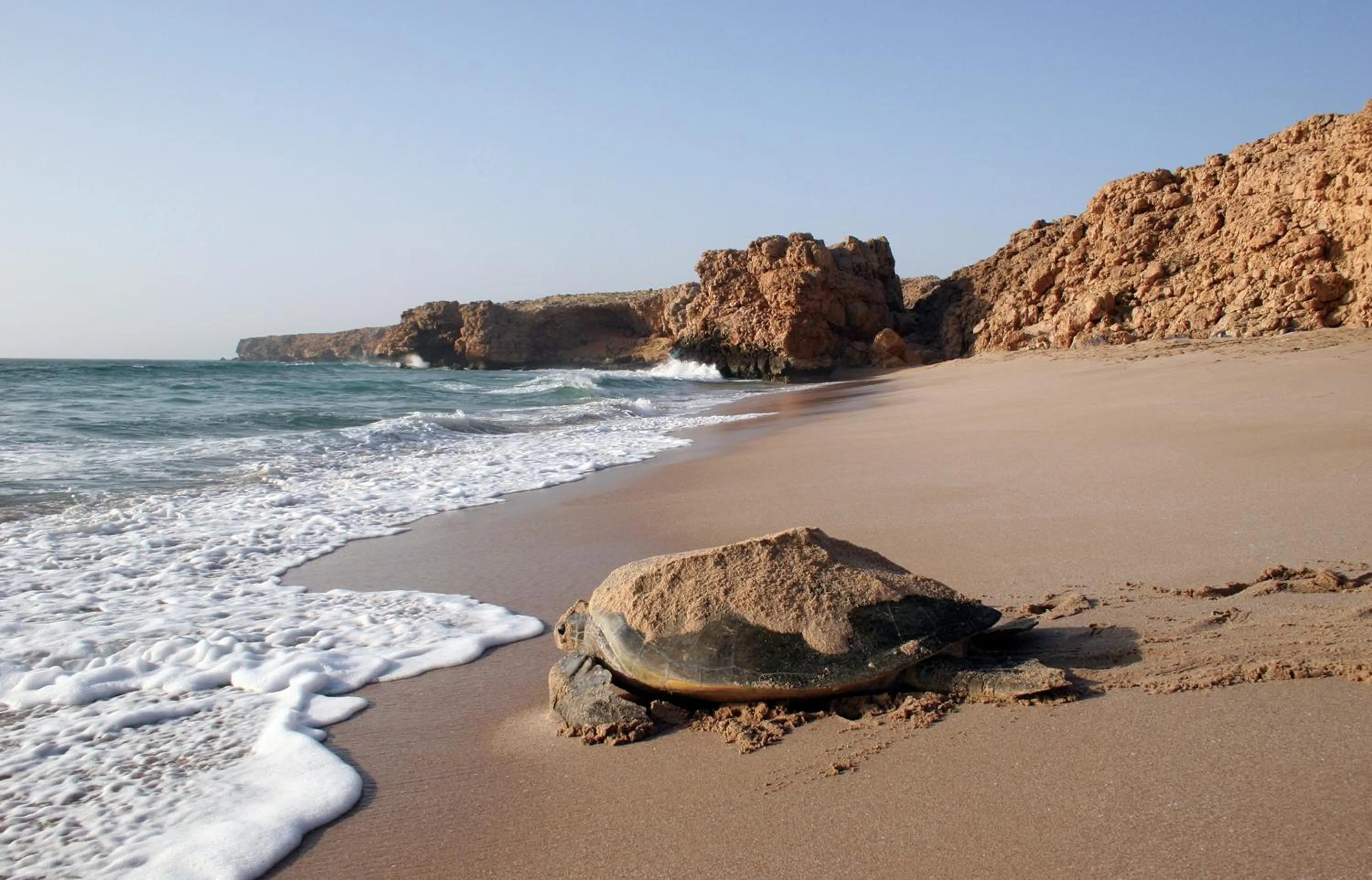 Natural landscape in Ras Al Jinz Turtle Reserve