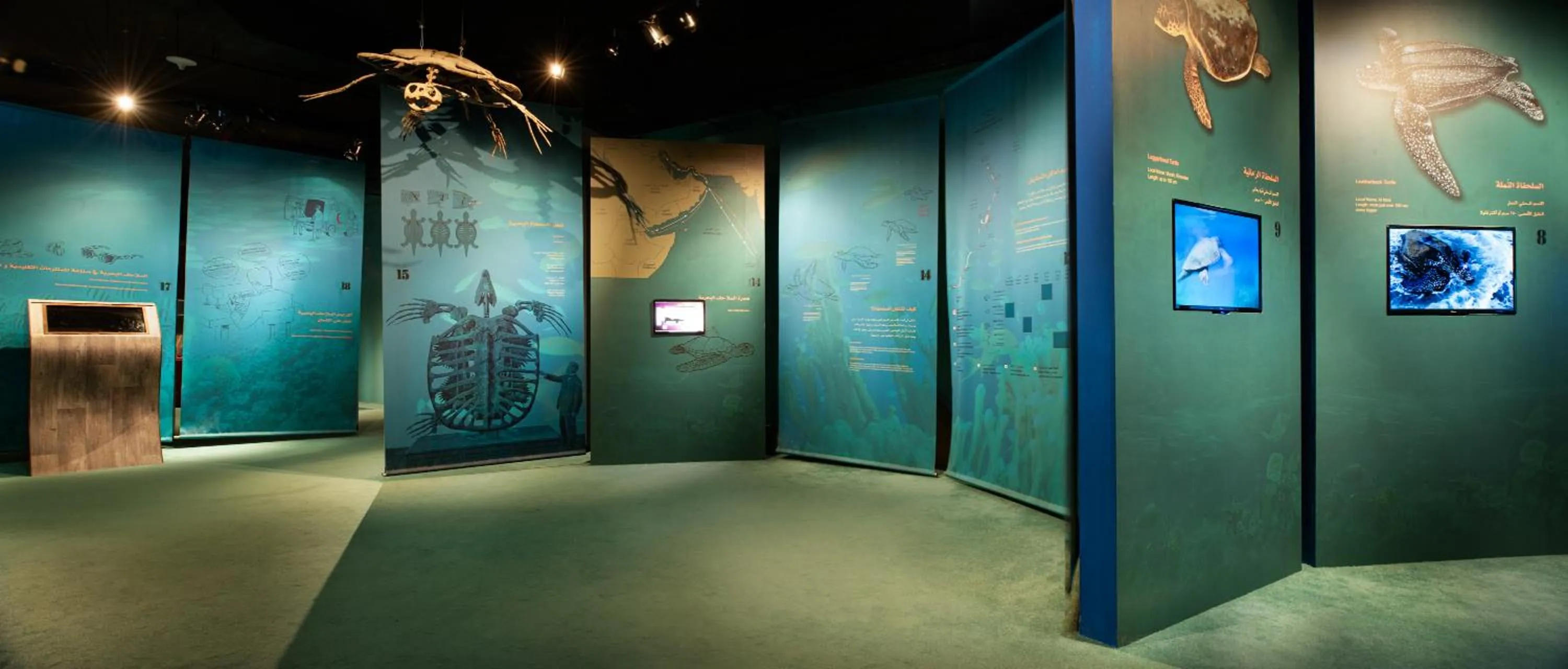 Other in Ras Al Jinz Turtle Reserve