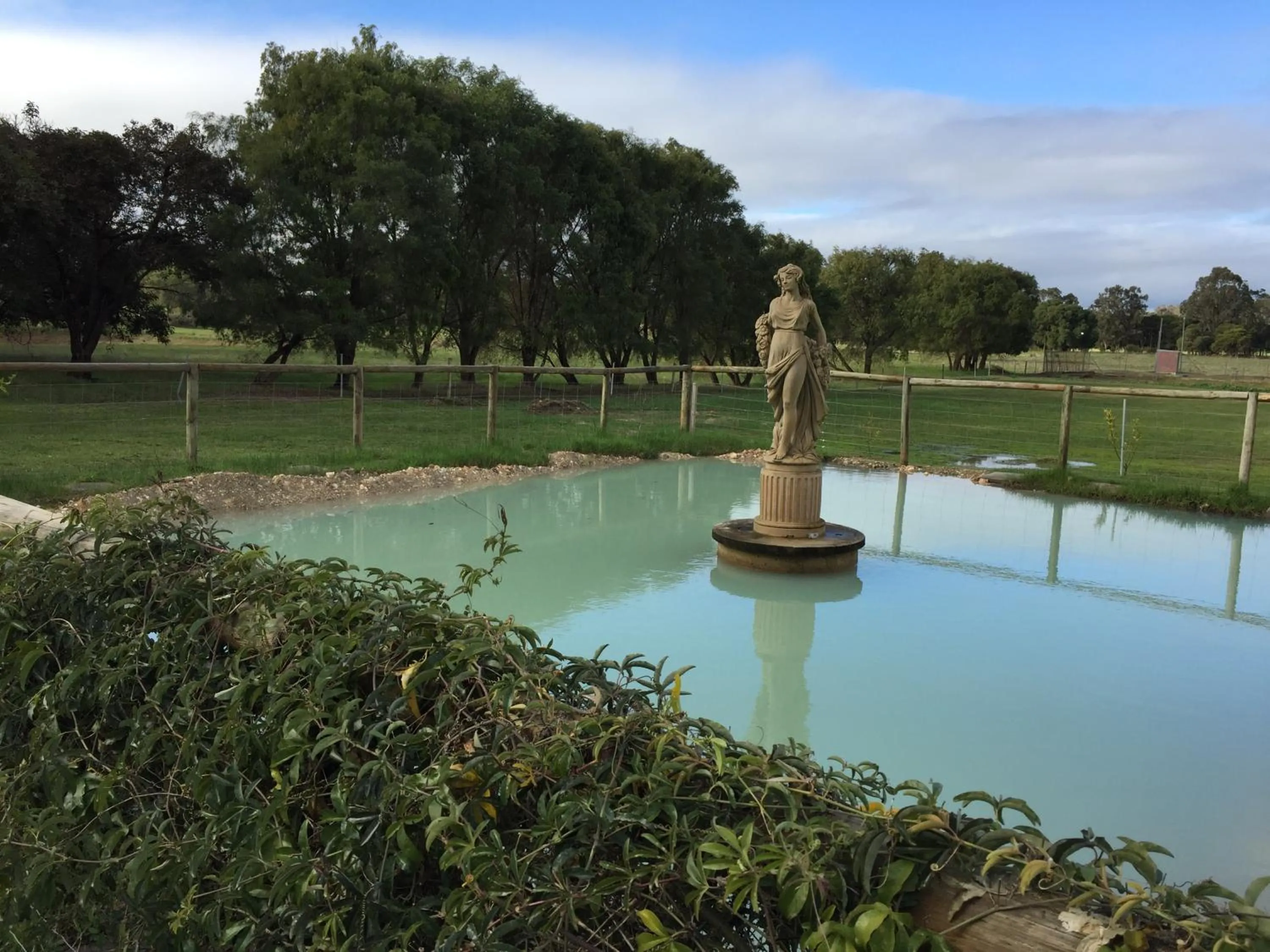 Garden view in Manjimup Gateway Hotel