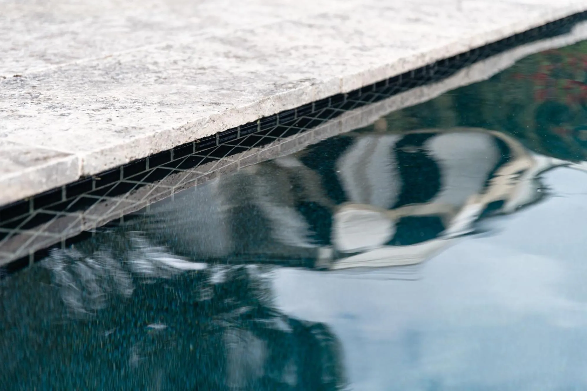Swimming pool in Maleny Lodge