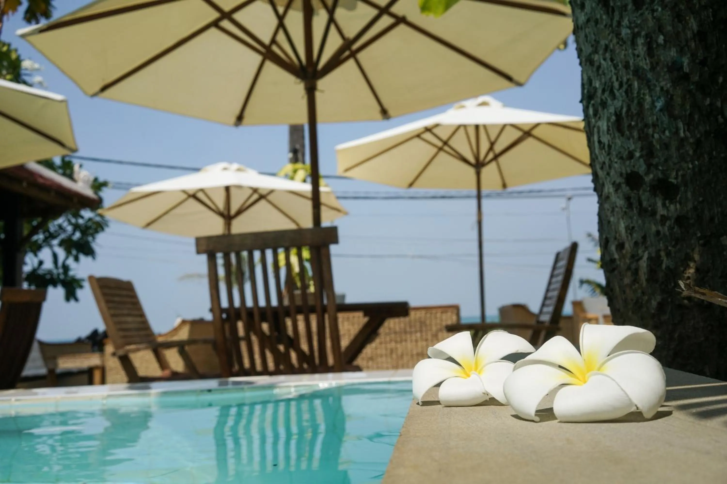 Swimming pool in Mealea Resort