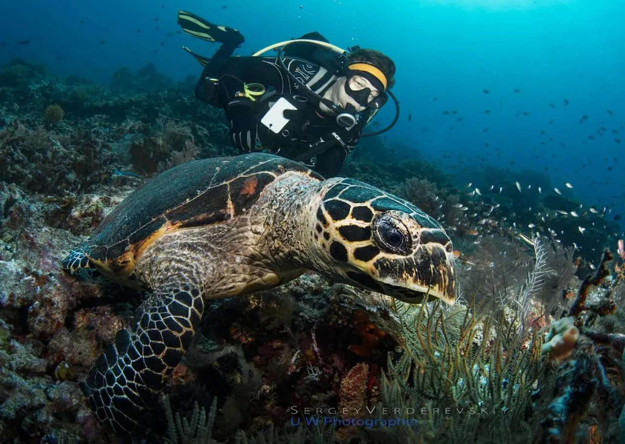 Activities in Orlowsky Discovery Candidasa Hotel