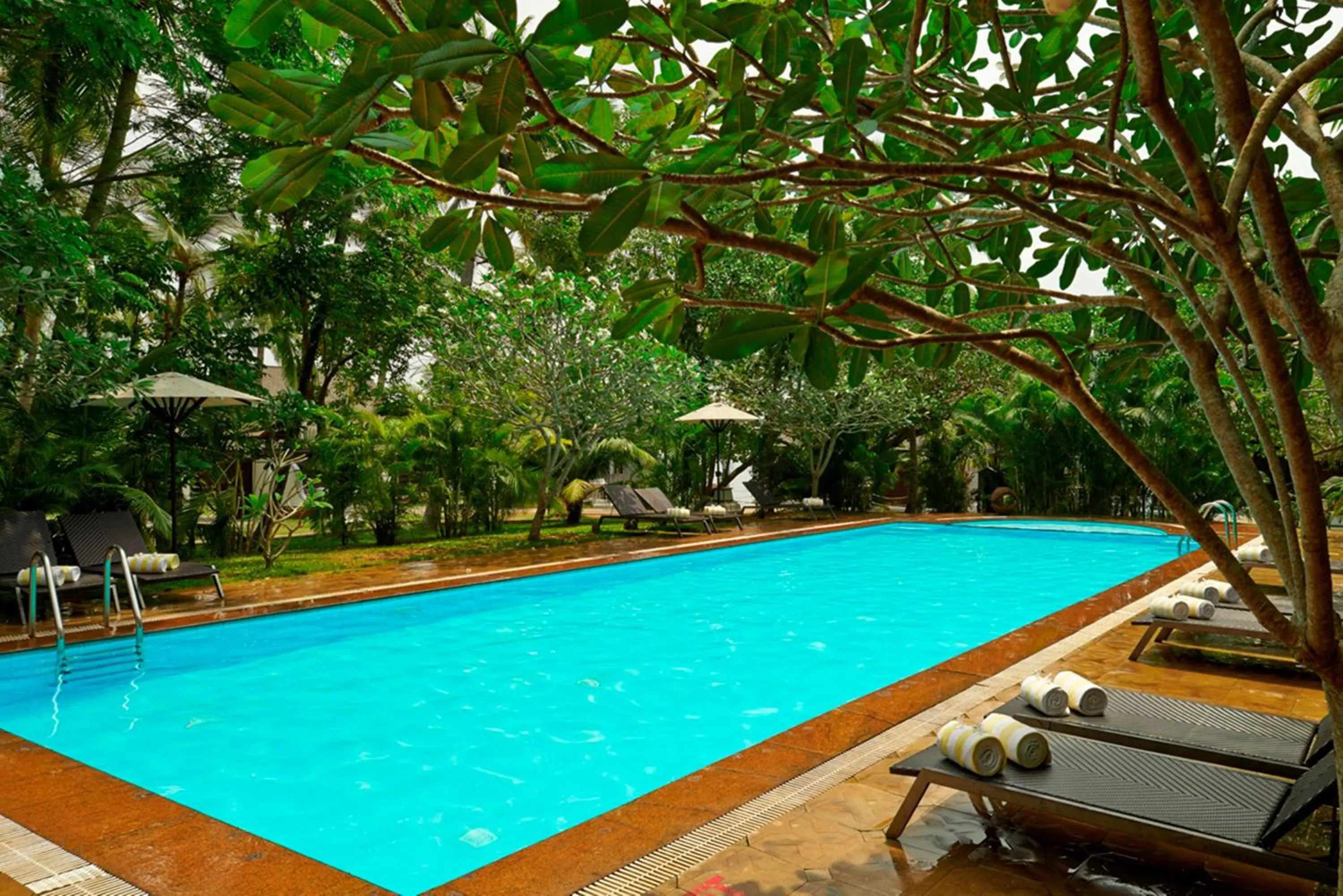 Swimming pool in Club Mahindra Ashtamudi