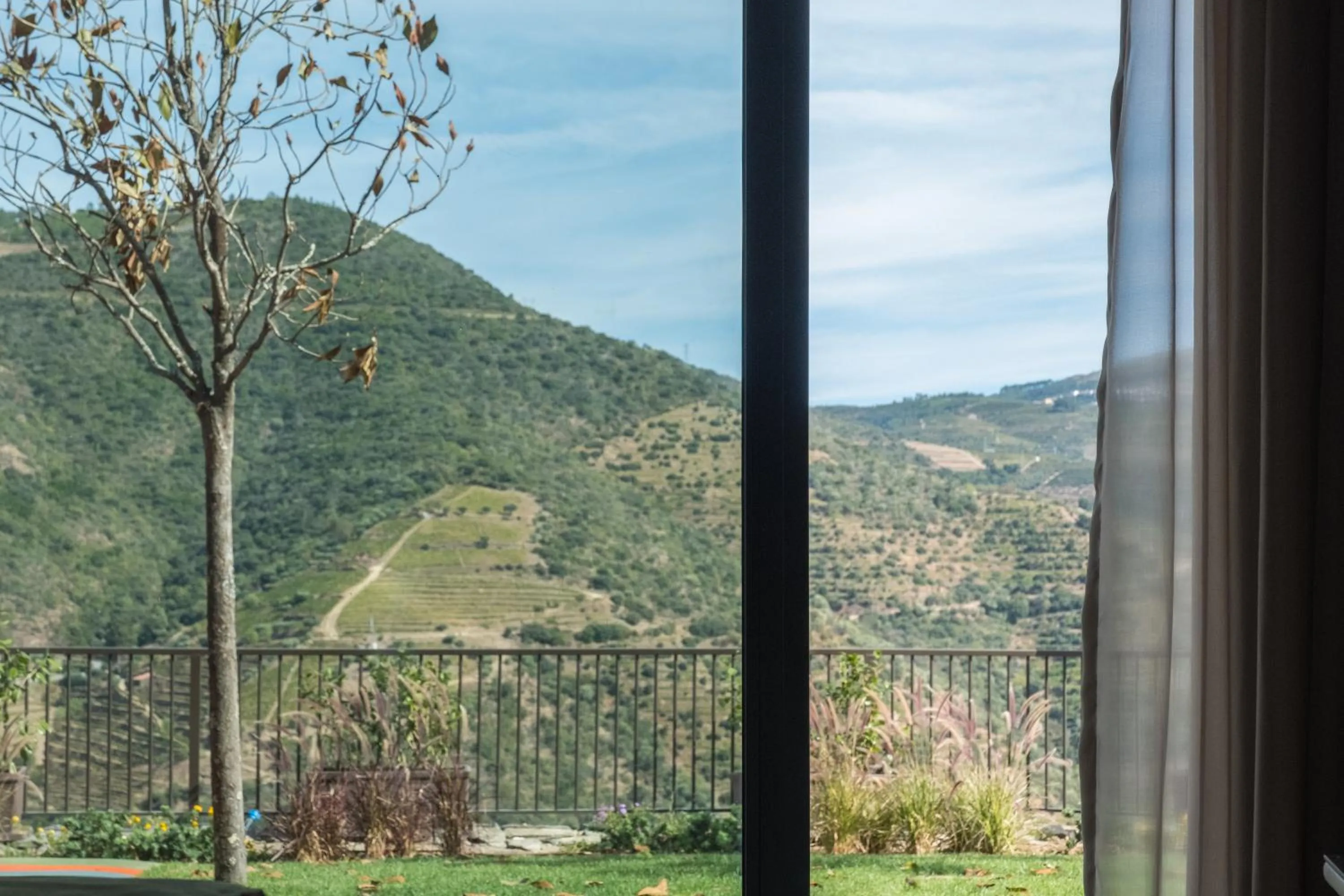 View (from property/room) in Vila Gale Douro Vineyards