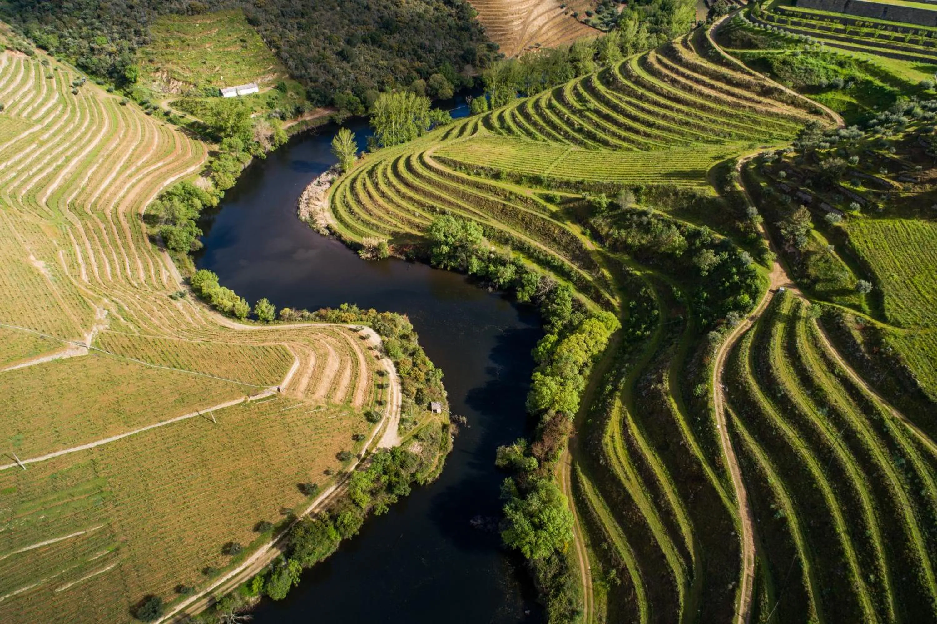 River view in Vila Gale Douro Vineyards