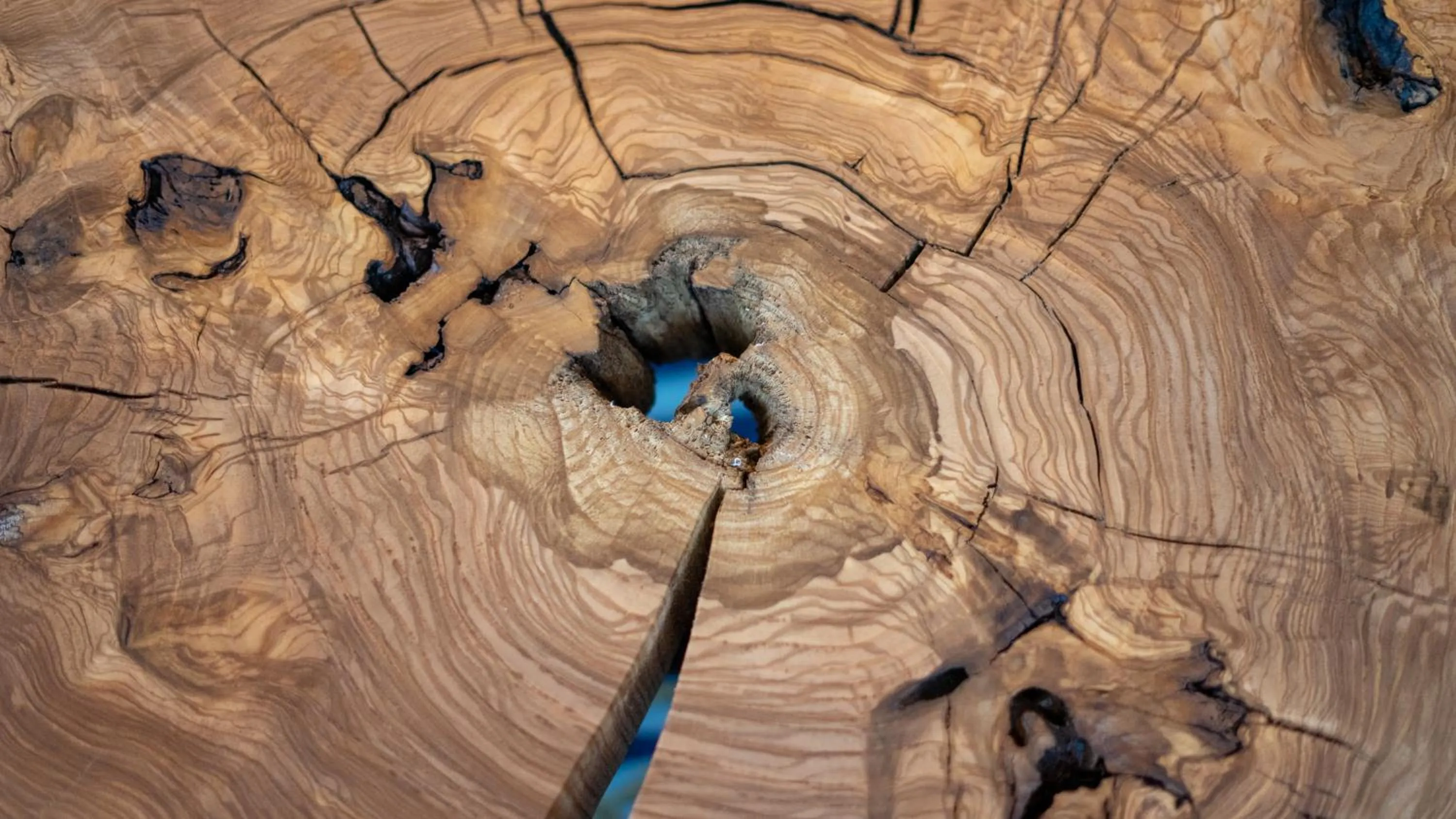 Decorative detail in ART Hotel