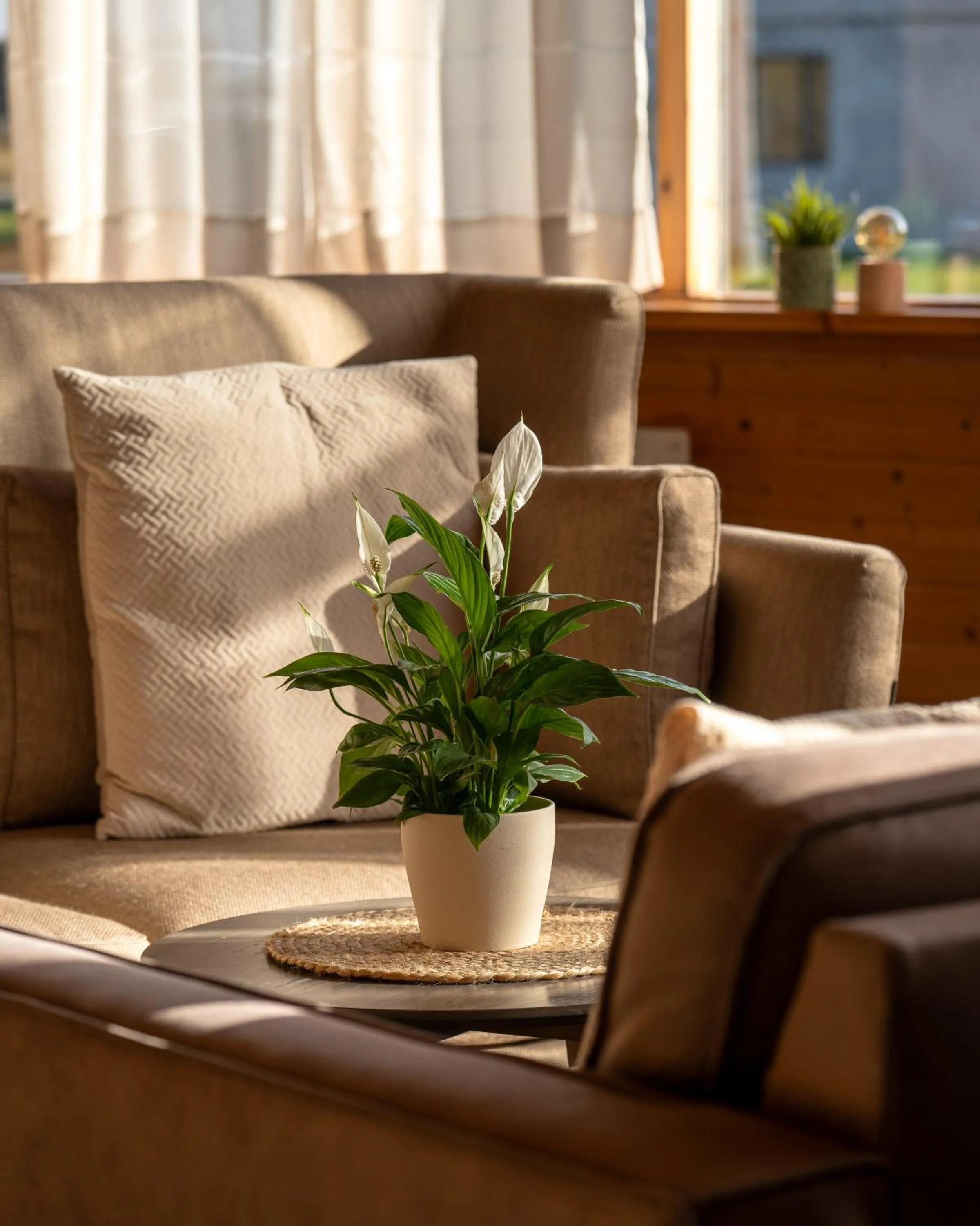Seating area in Hotel Vík í Mýrdal