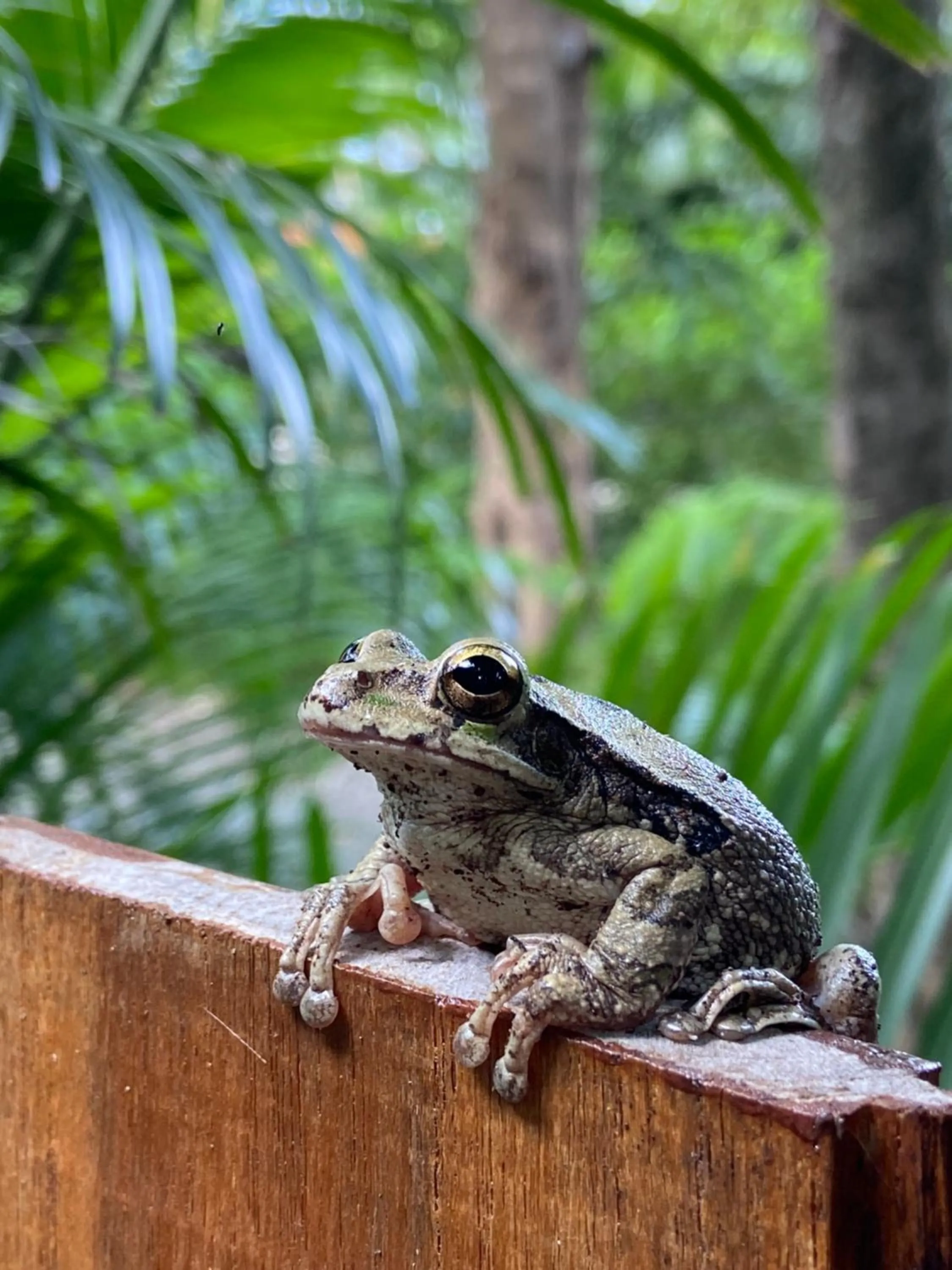 Natural landscape in Villas Kalei