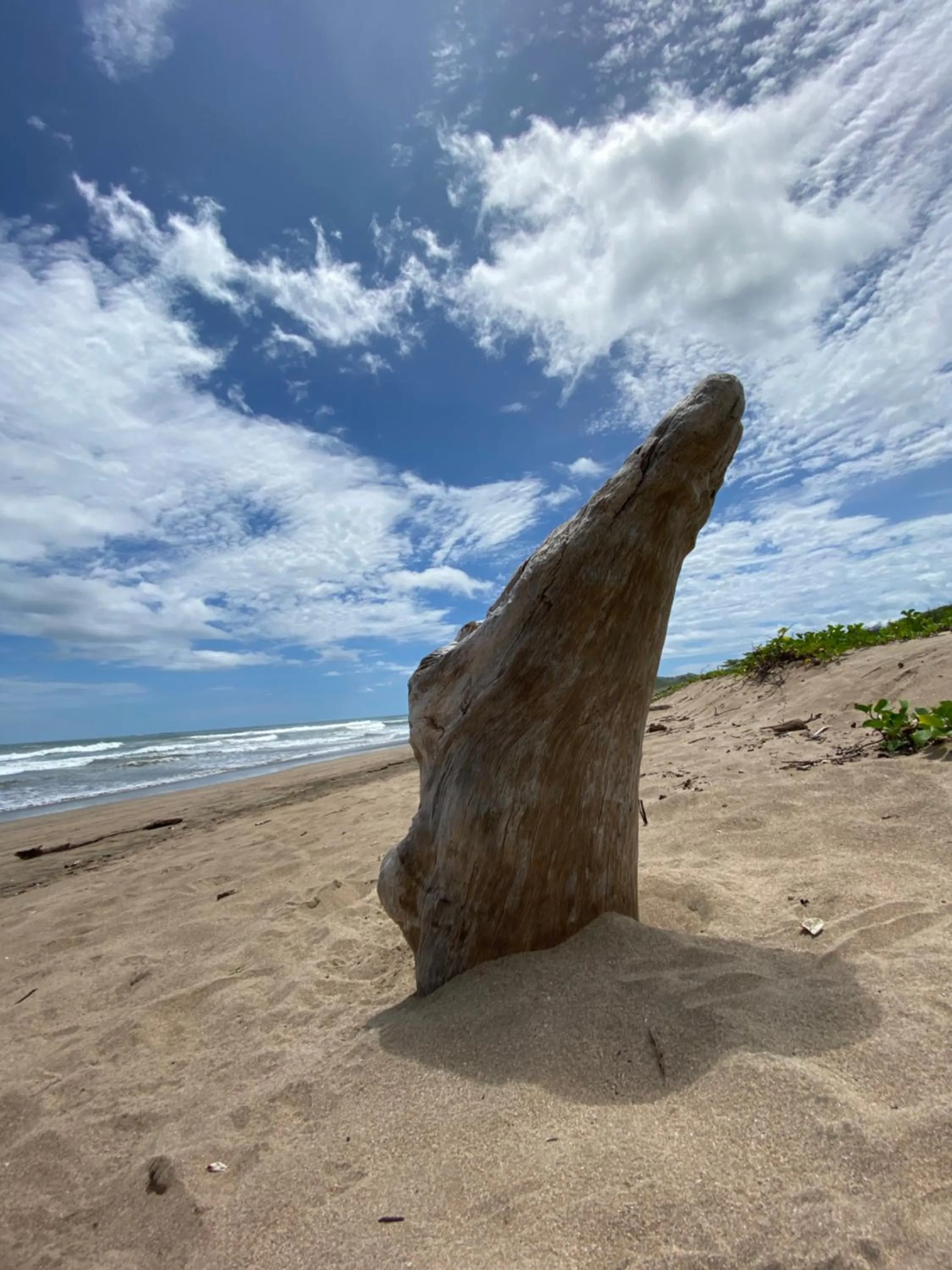 Natural landscape in Villas Kalei