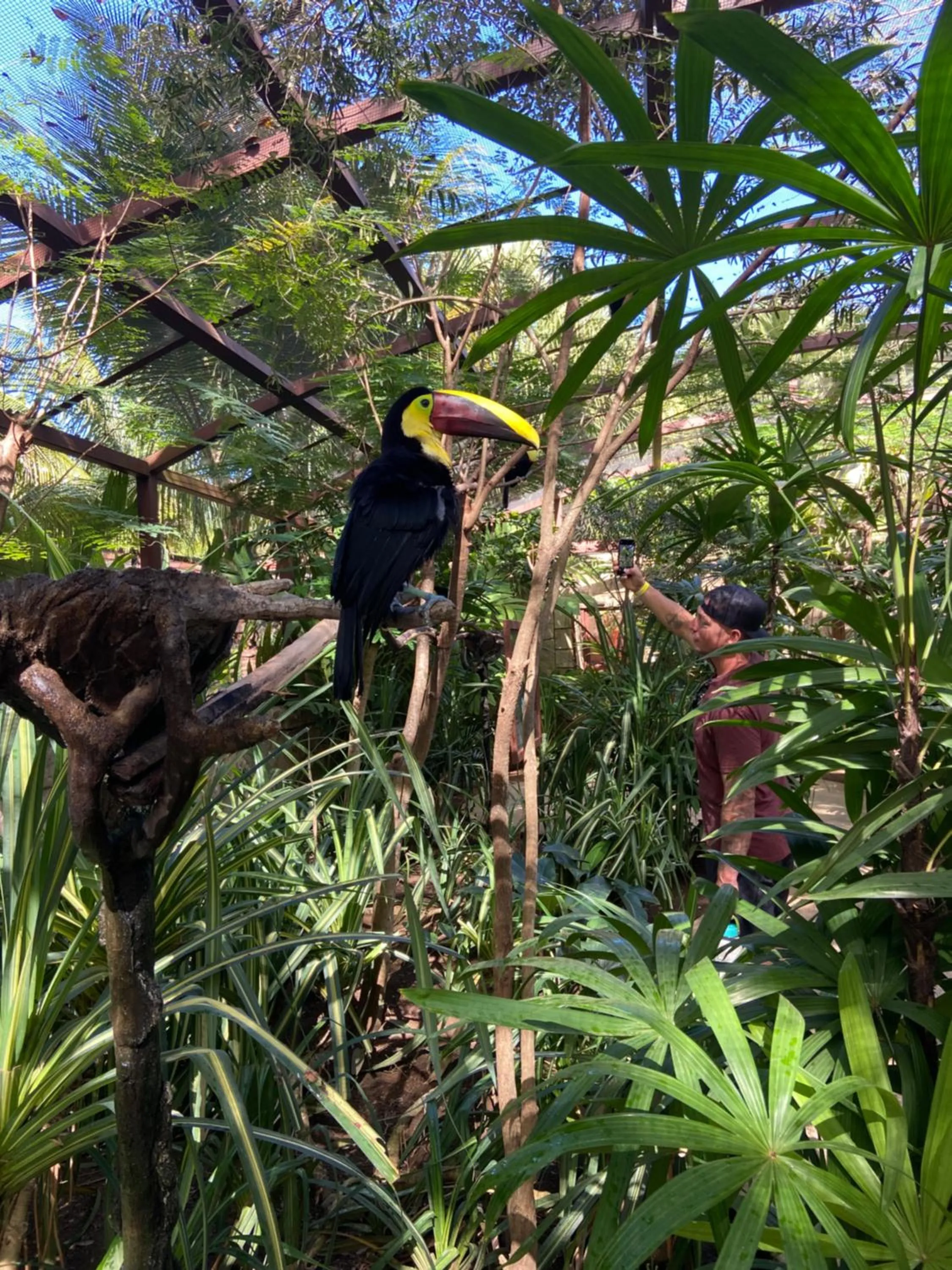 Activities in Villas Kalei