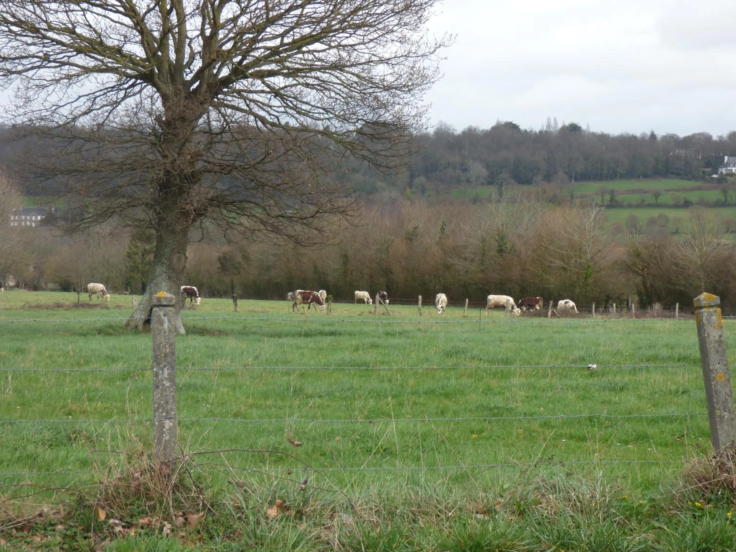 Chambre familiale proche Mont St Michel