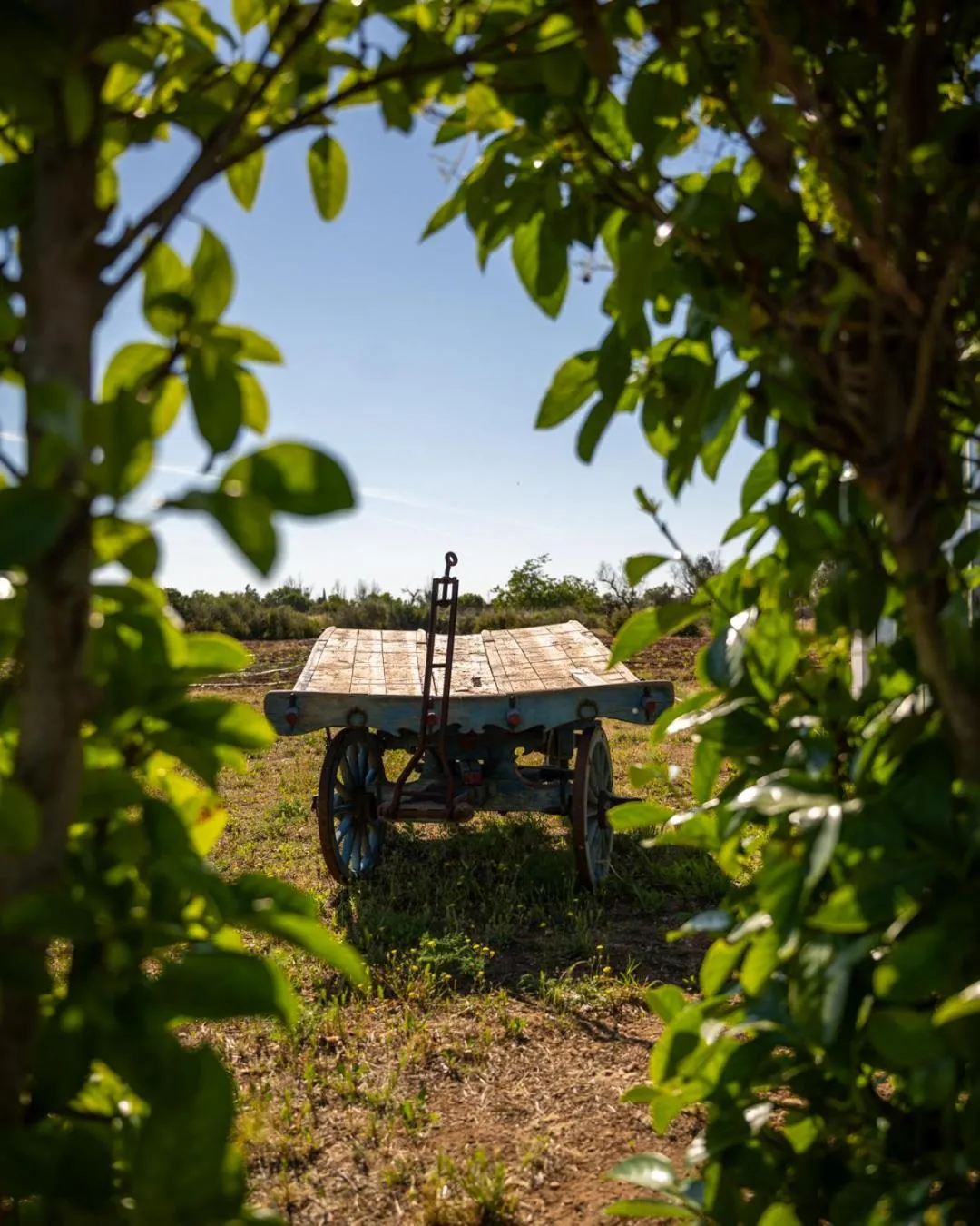 Bed & Breakfast Villa Michela Alezio