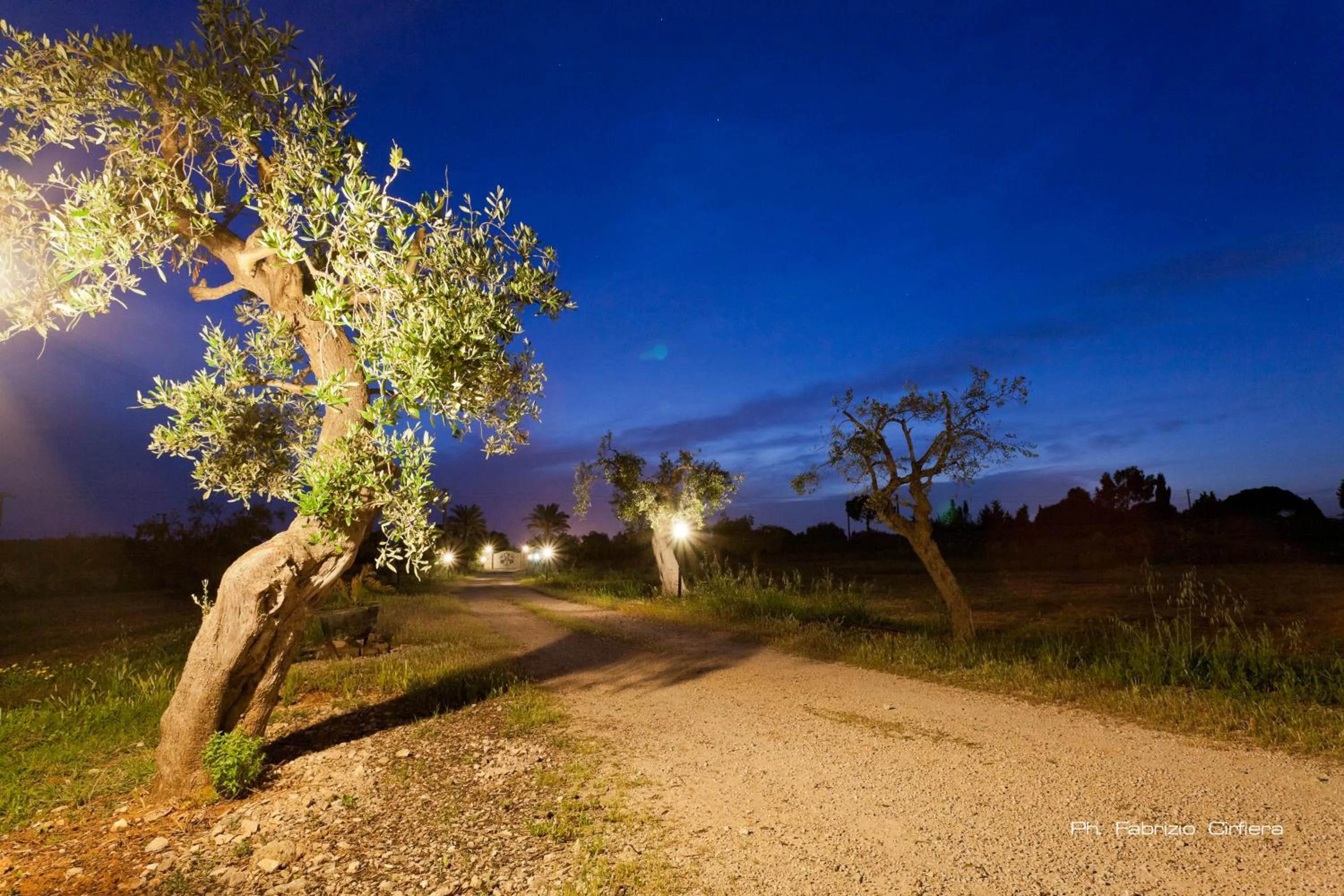 Garden in Bed & Breakfast Villa Michela Alezio