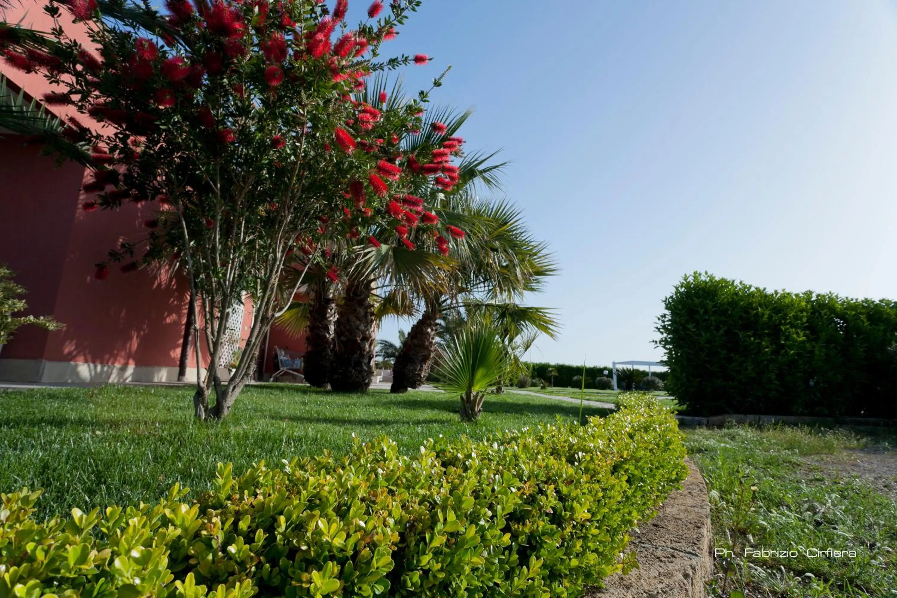 Garden in Bed & Breakfast Villa Michela Alezio