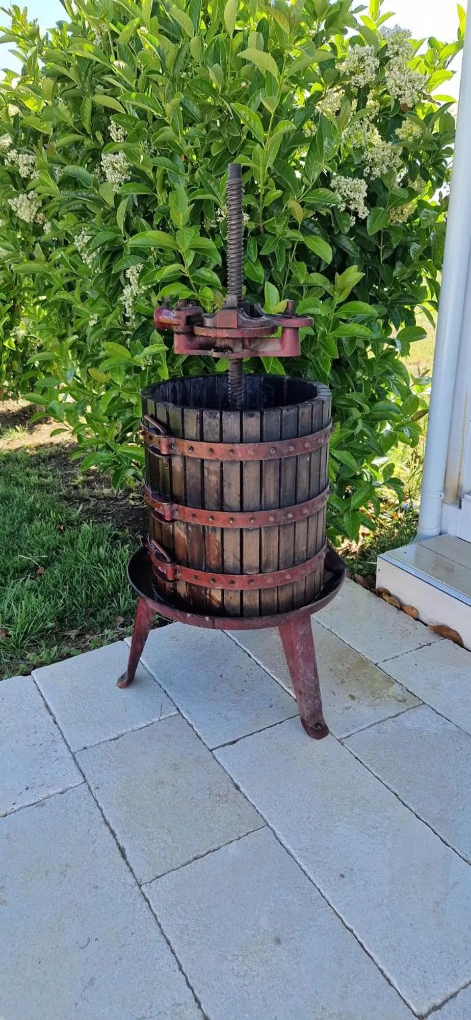 Bed & Breakfast Villa Michela Alezio