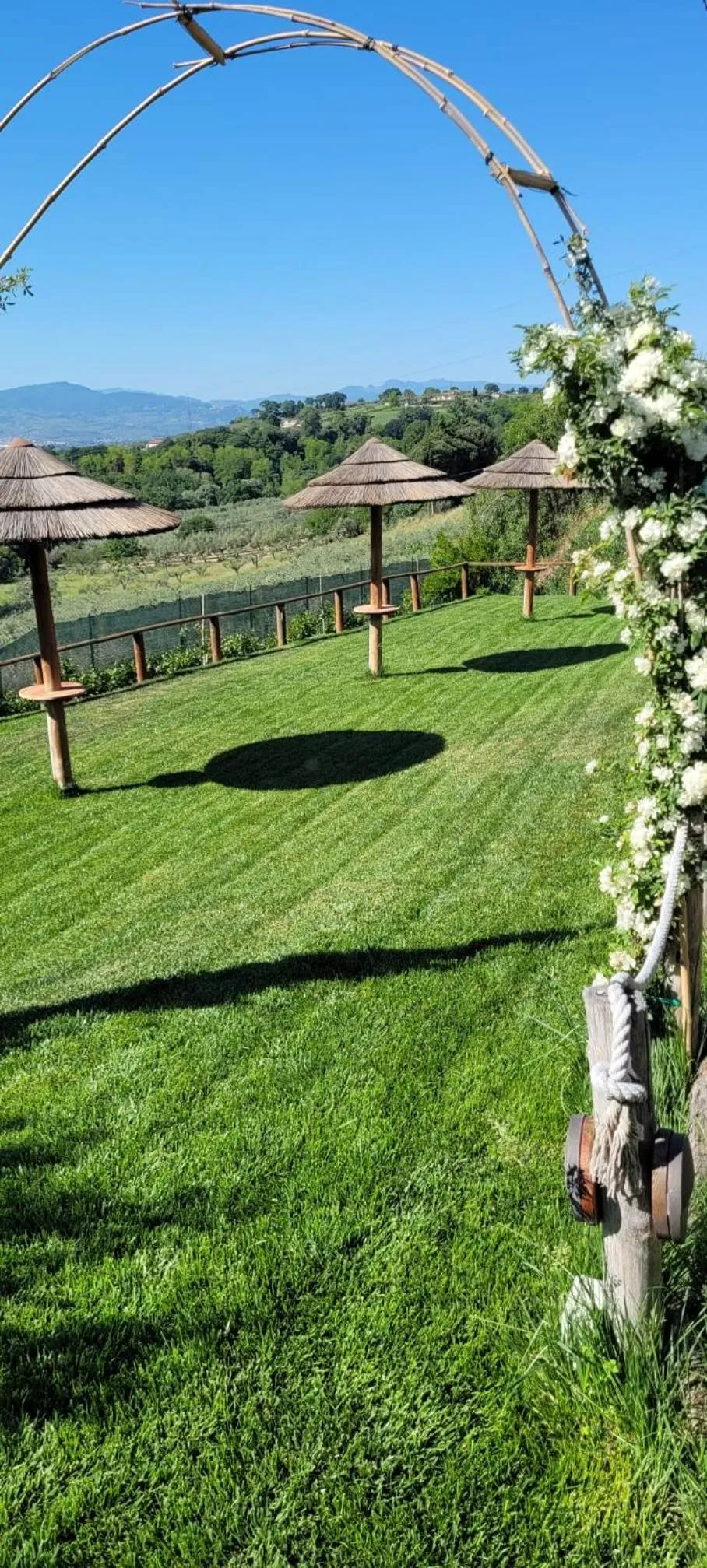 Garden in B&B Villa Melania