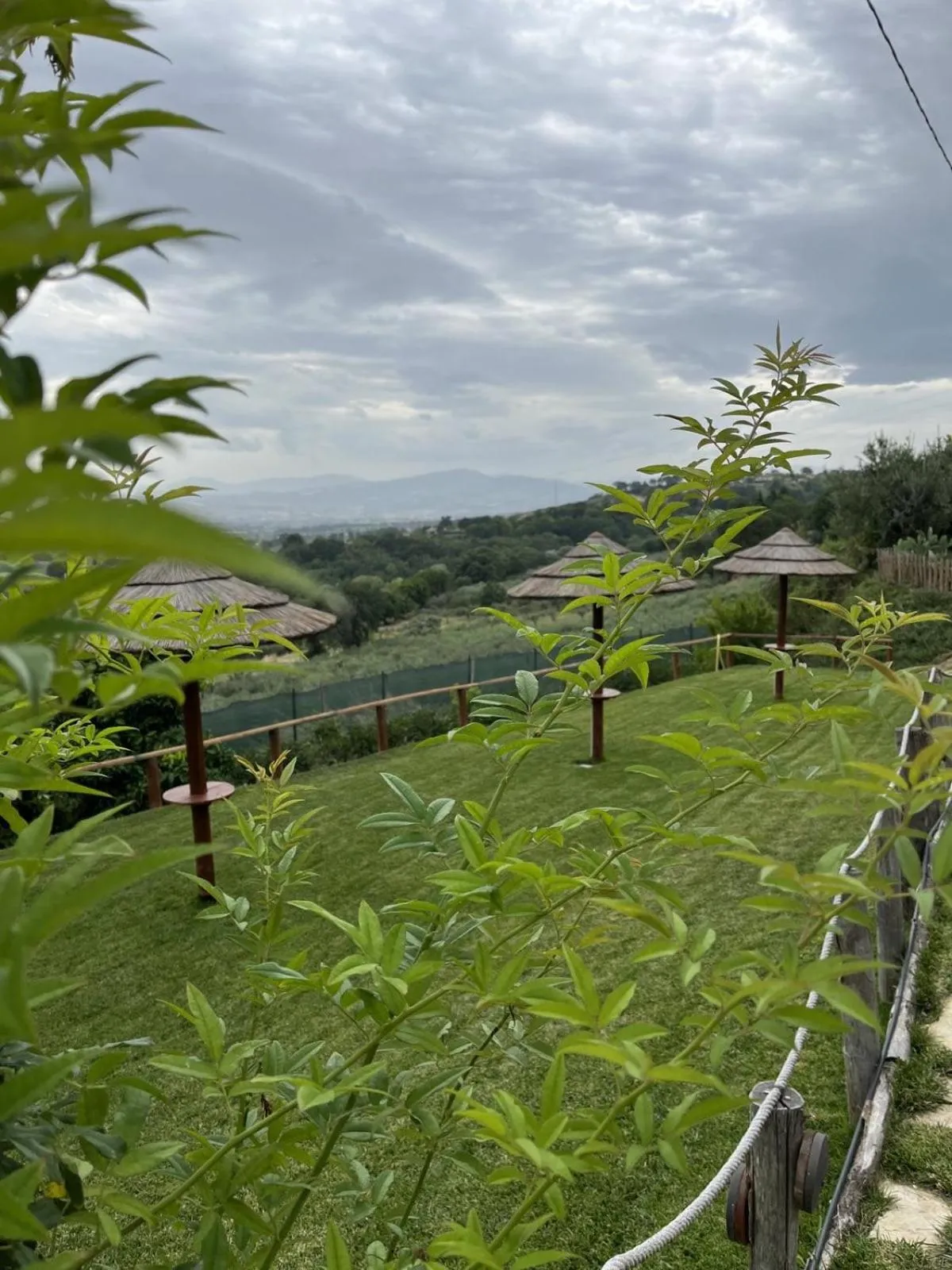 Natural landscape in B&B Villa Melania