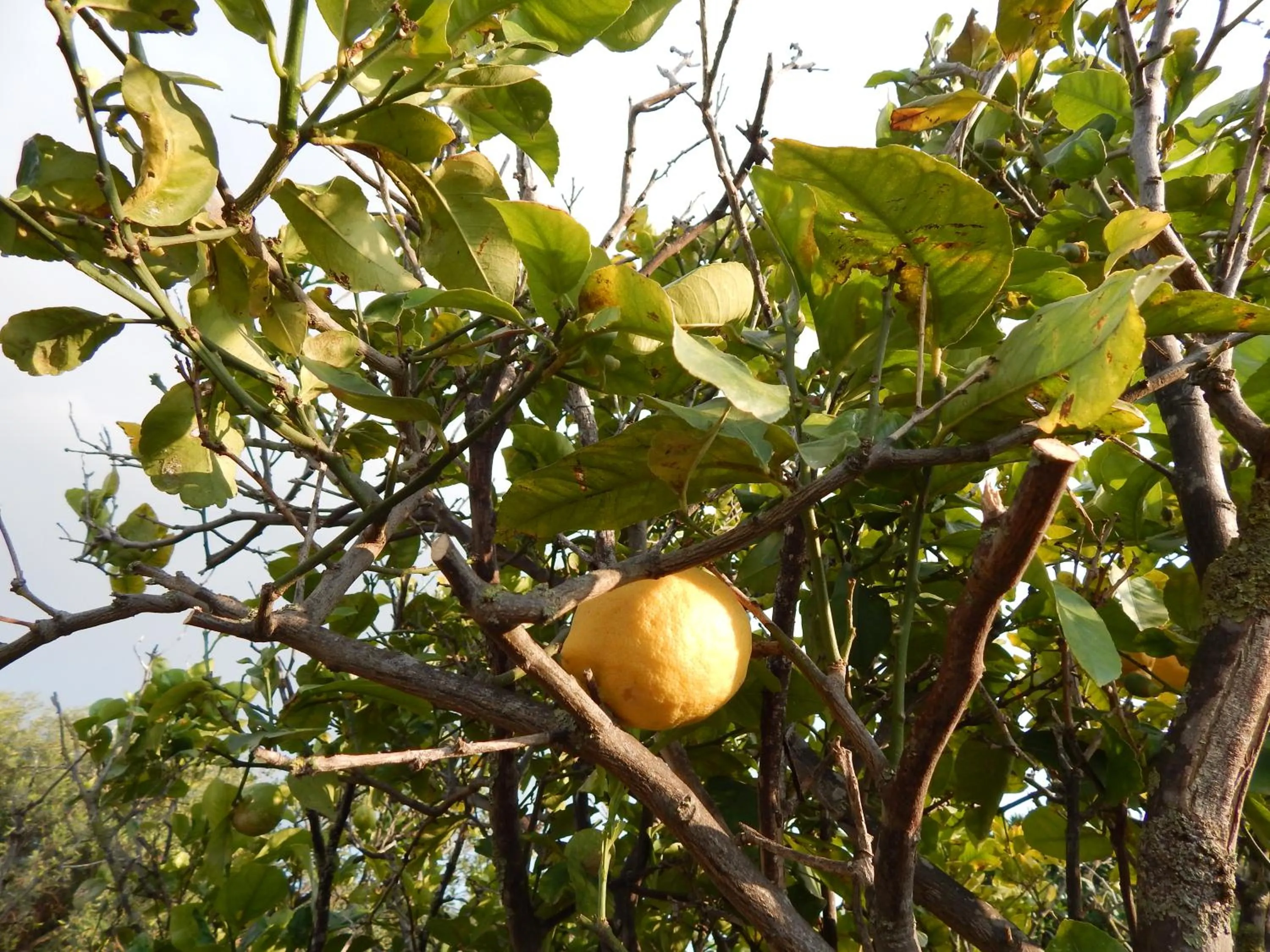 Property building in Turtle Island Apartments