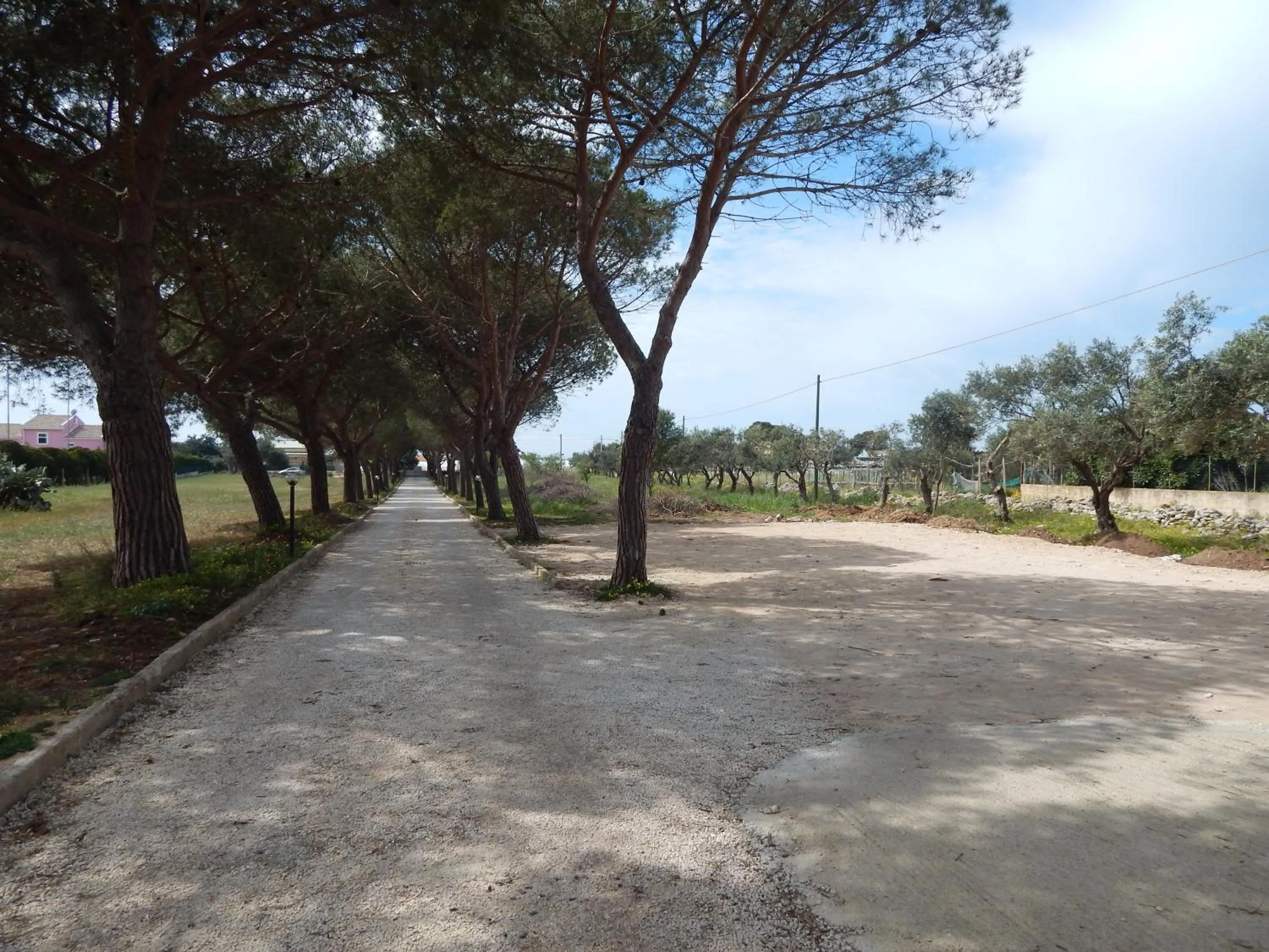 Turtle Island Apartments