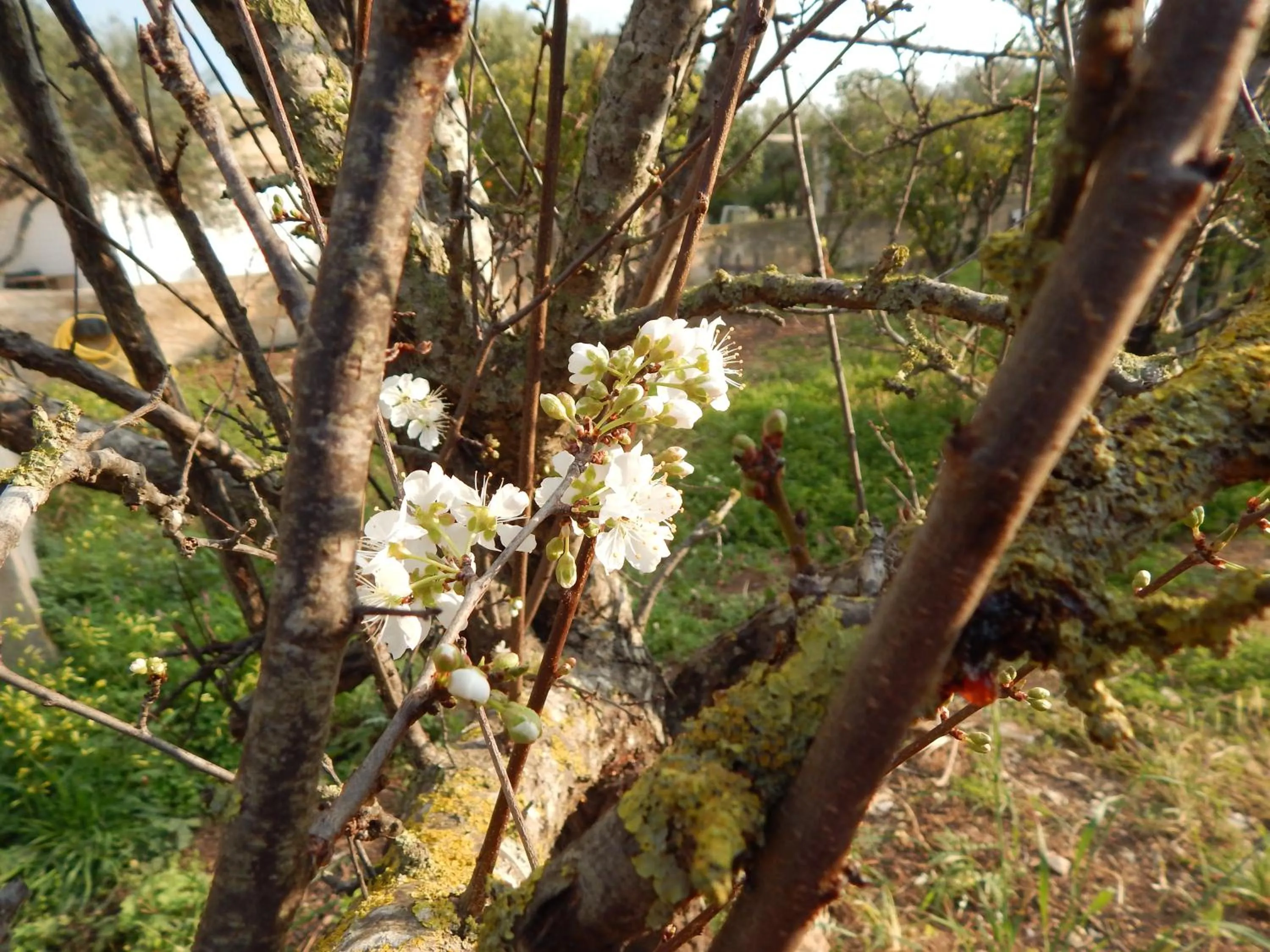 Property building in Turtle Island Apartments