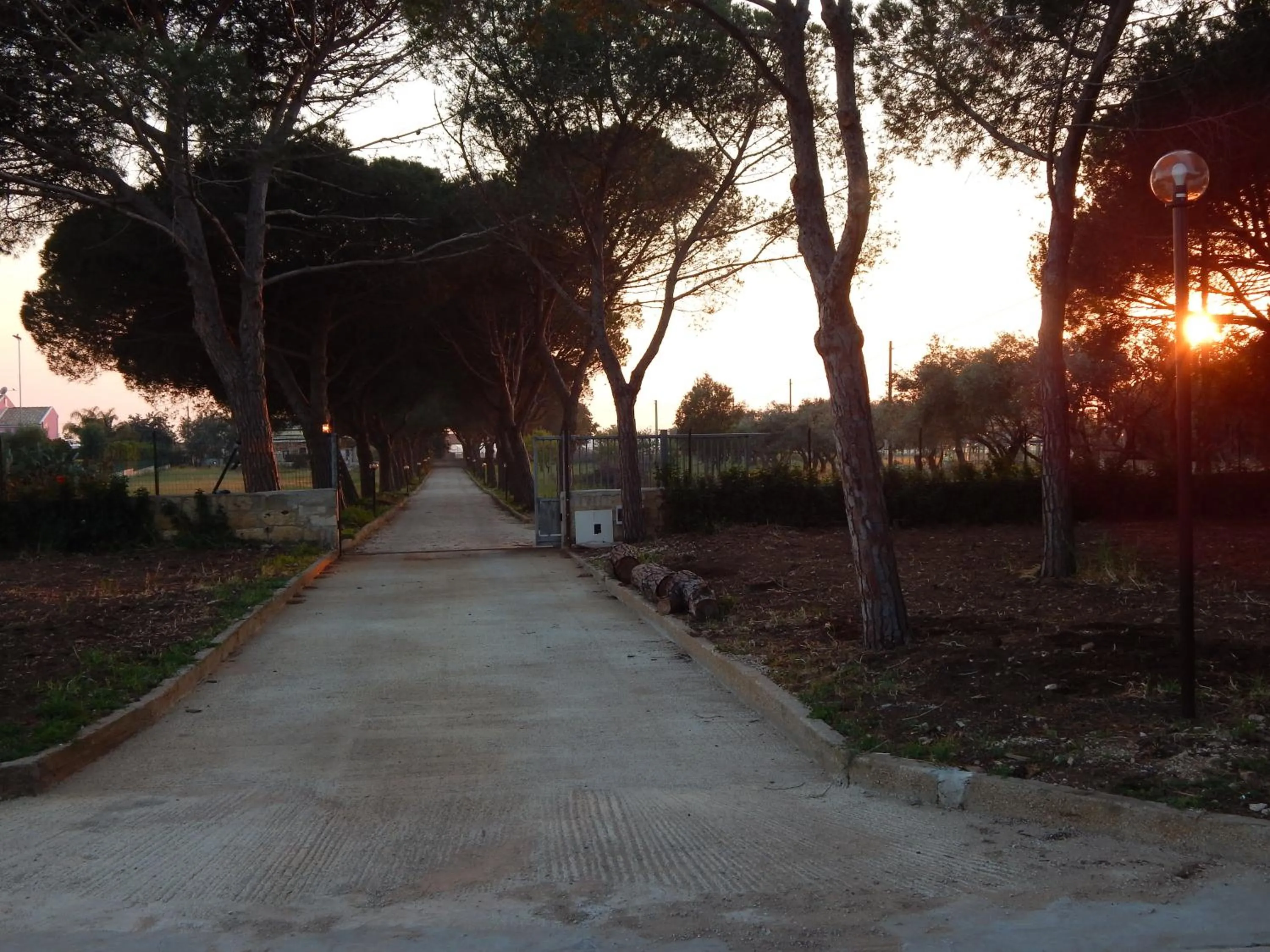 Property building in Turtle Island Apartments