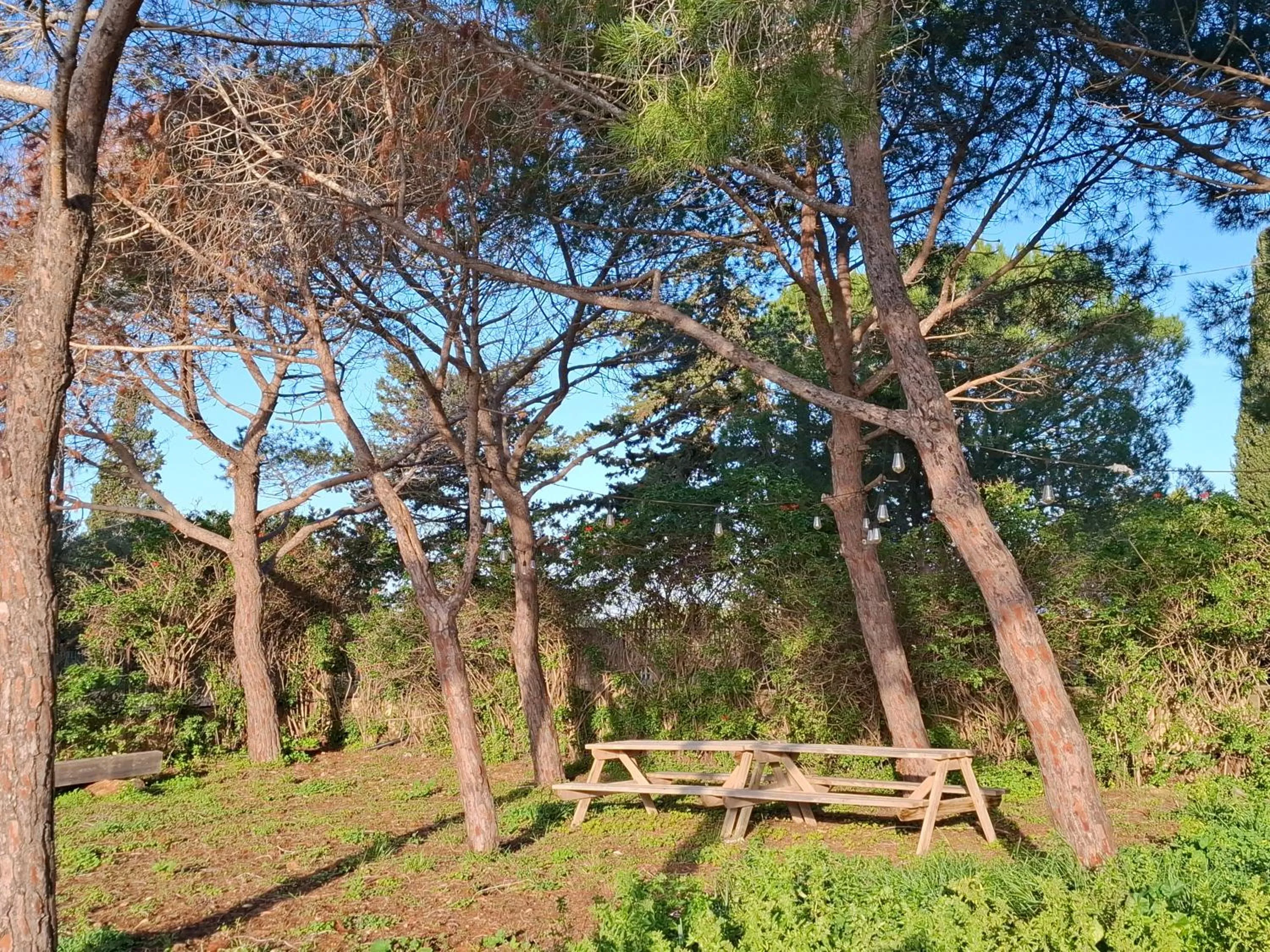 Turtle Island Apartments