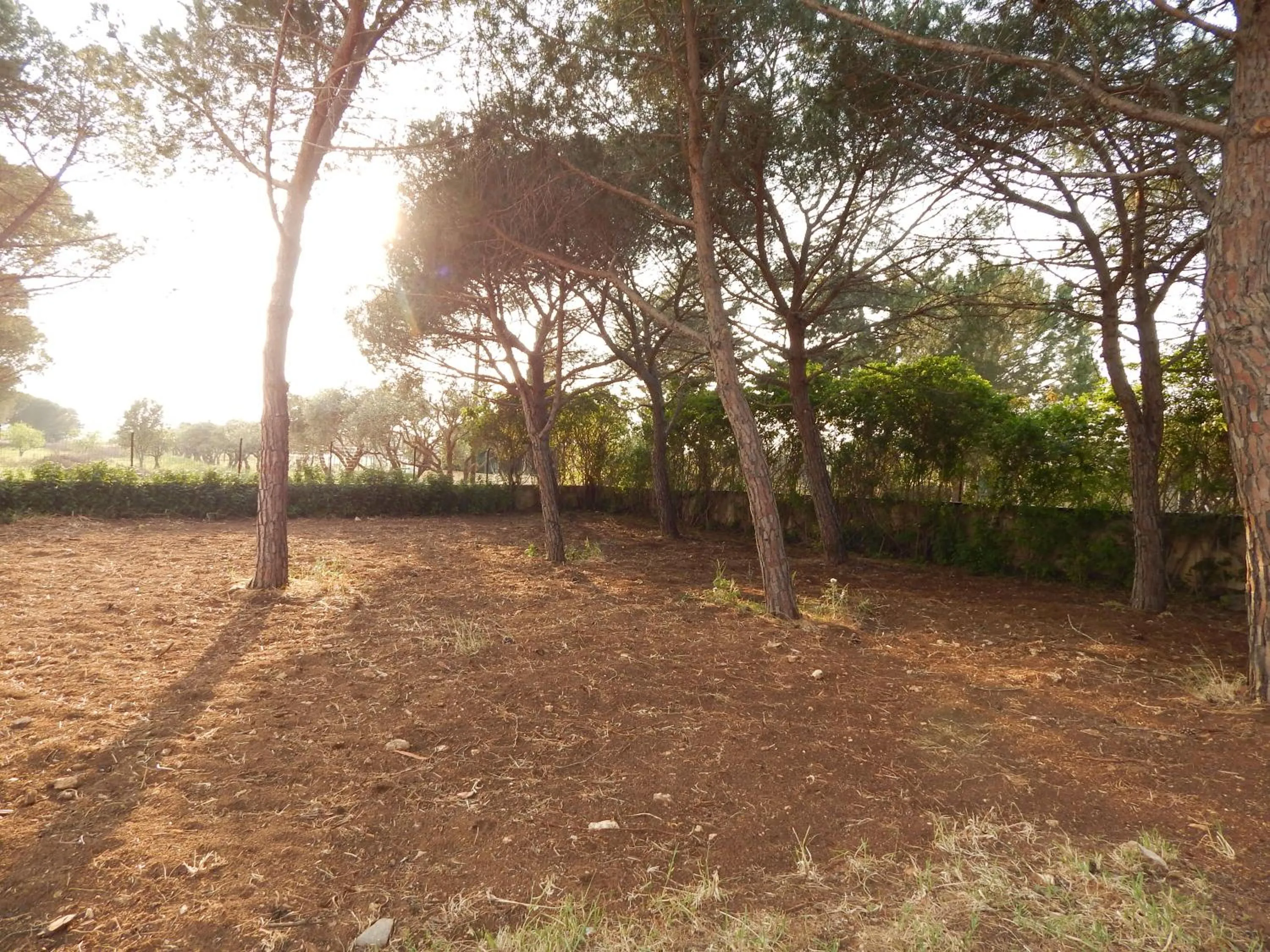 Property building in Turtle Island Apartments