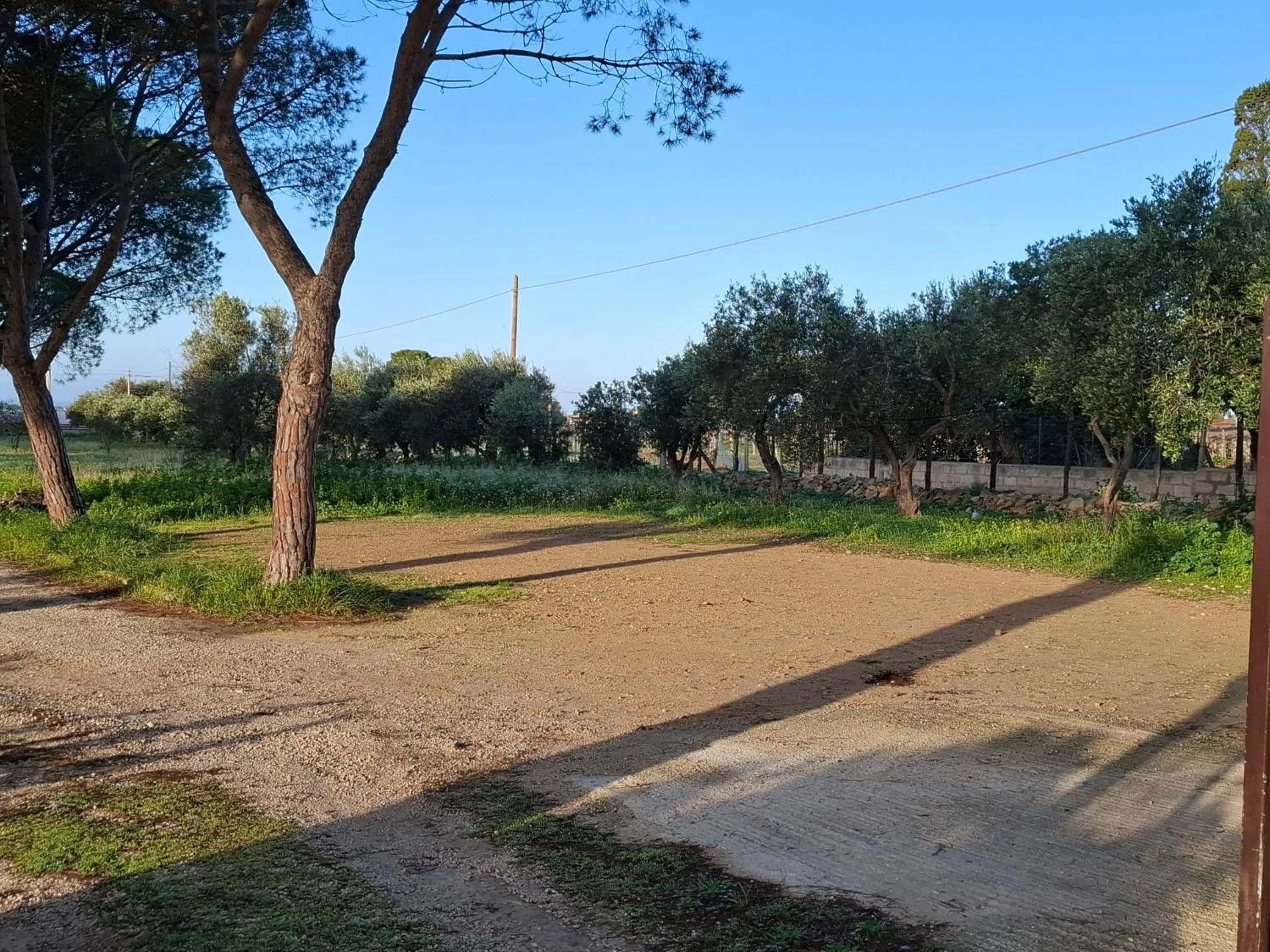 Turtle Island Apartments