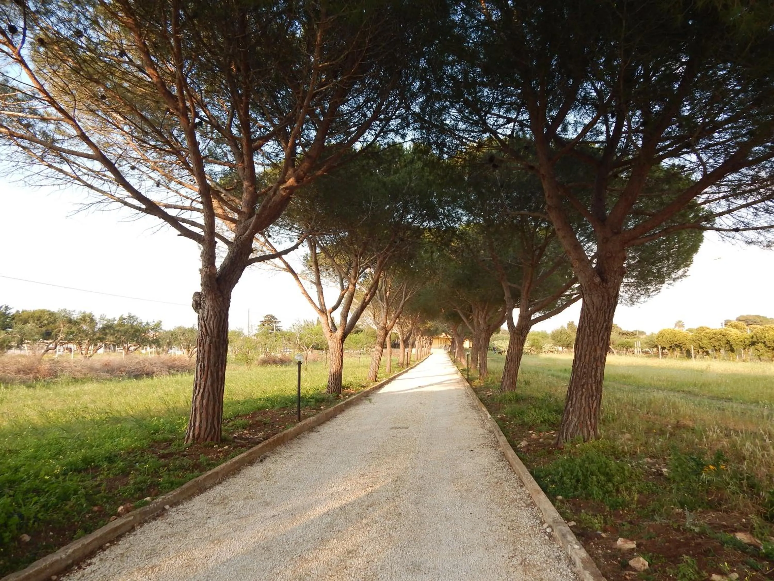 Property building in Turtle Island Apartments